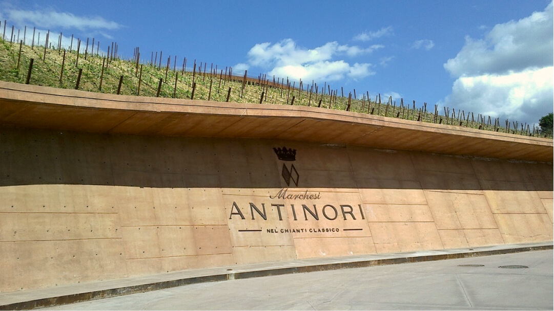 Vinícola Marchesi Antinori