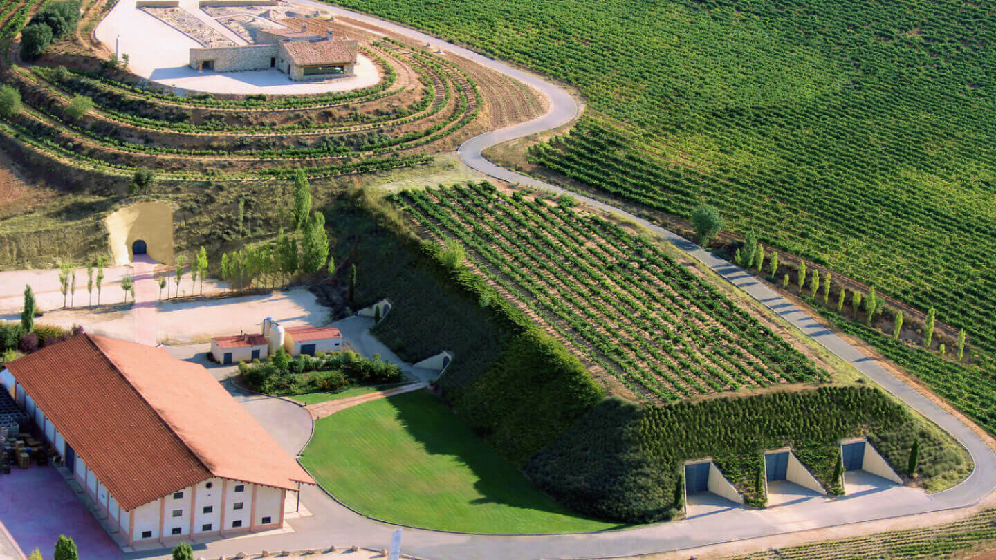 Vinícola Bodegas Valduero