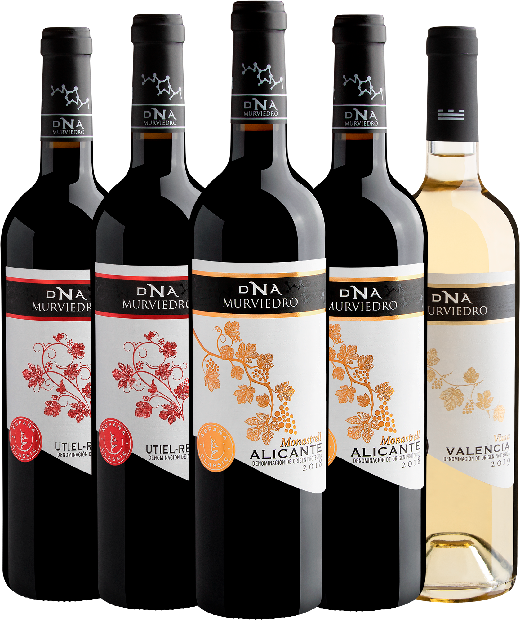 Kit Linha DNA