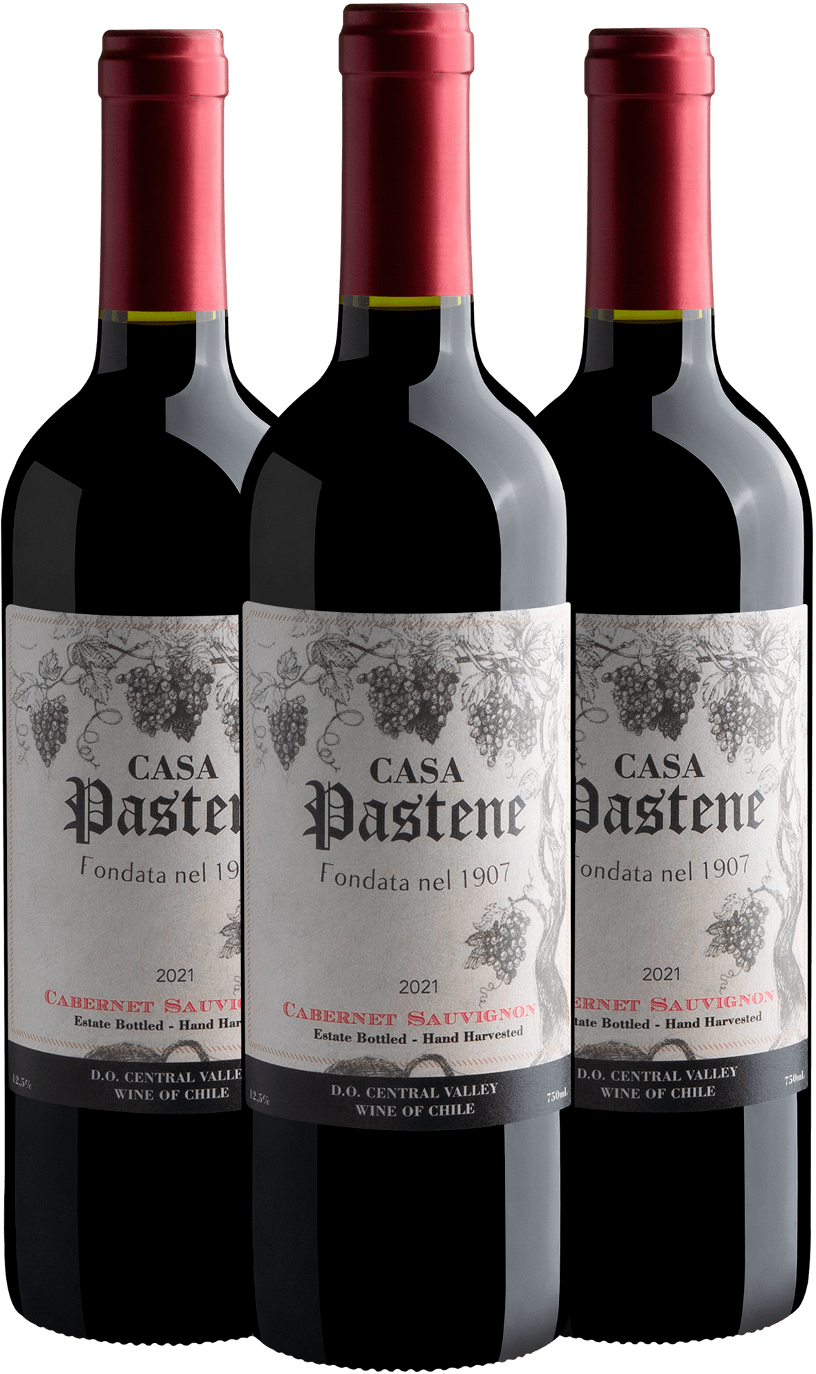 Kit 3 Casa Pastene Cabernet Sauvignon Central Valley D.O. 2021