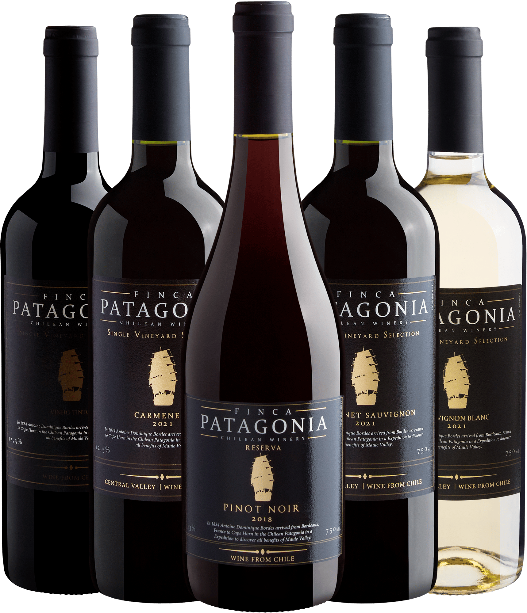Kit Família Finca Patagonia: 5 por R$169,50 | Economize +R$75