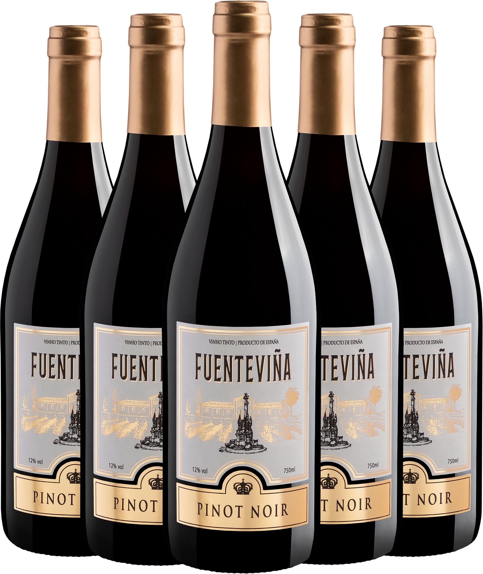 Kit Especial Melhores do Ano: 5 Fuenteviña Pinot Noir