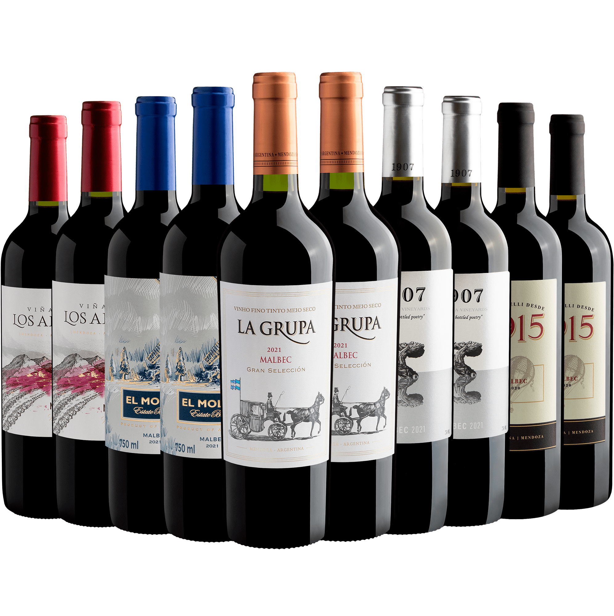 Kit 10 Malbec Argentinos por R$24,90 cada