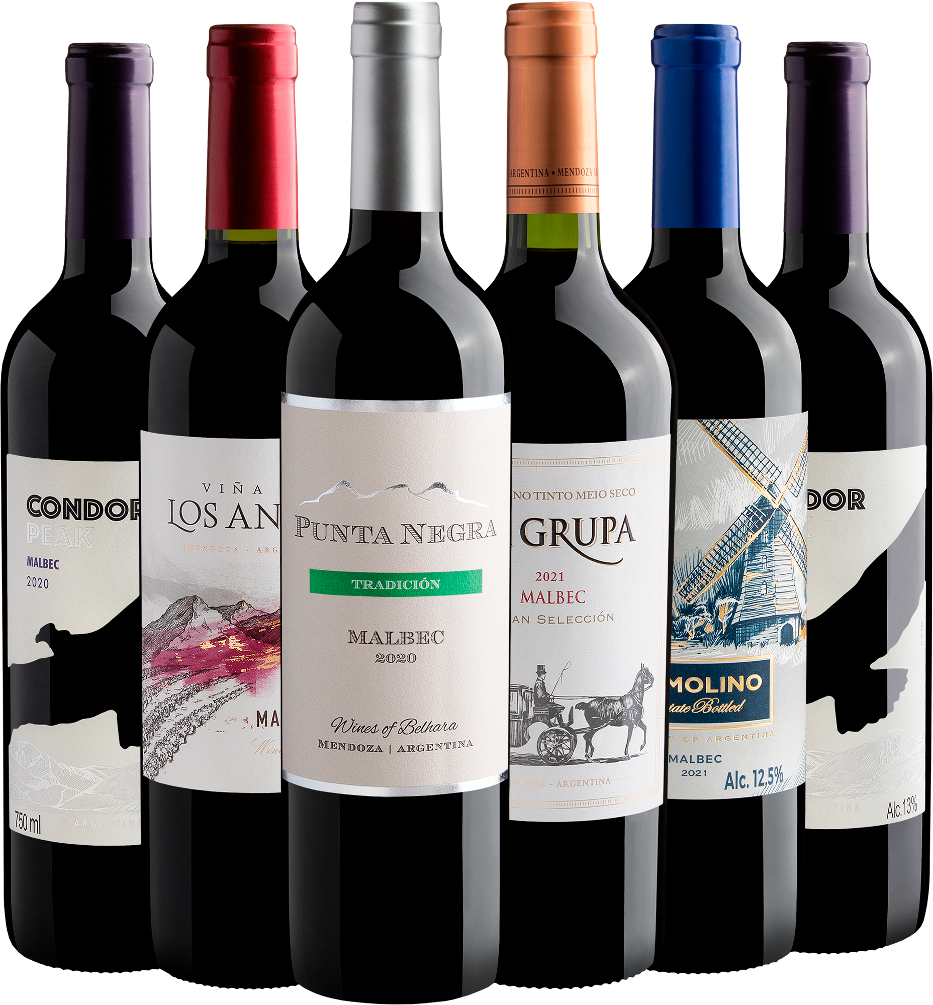 Kit 6 Malbecs Argentinos por R$199,90