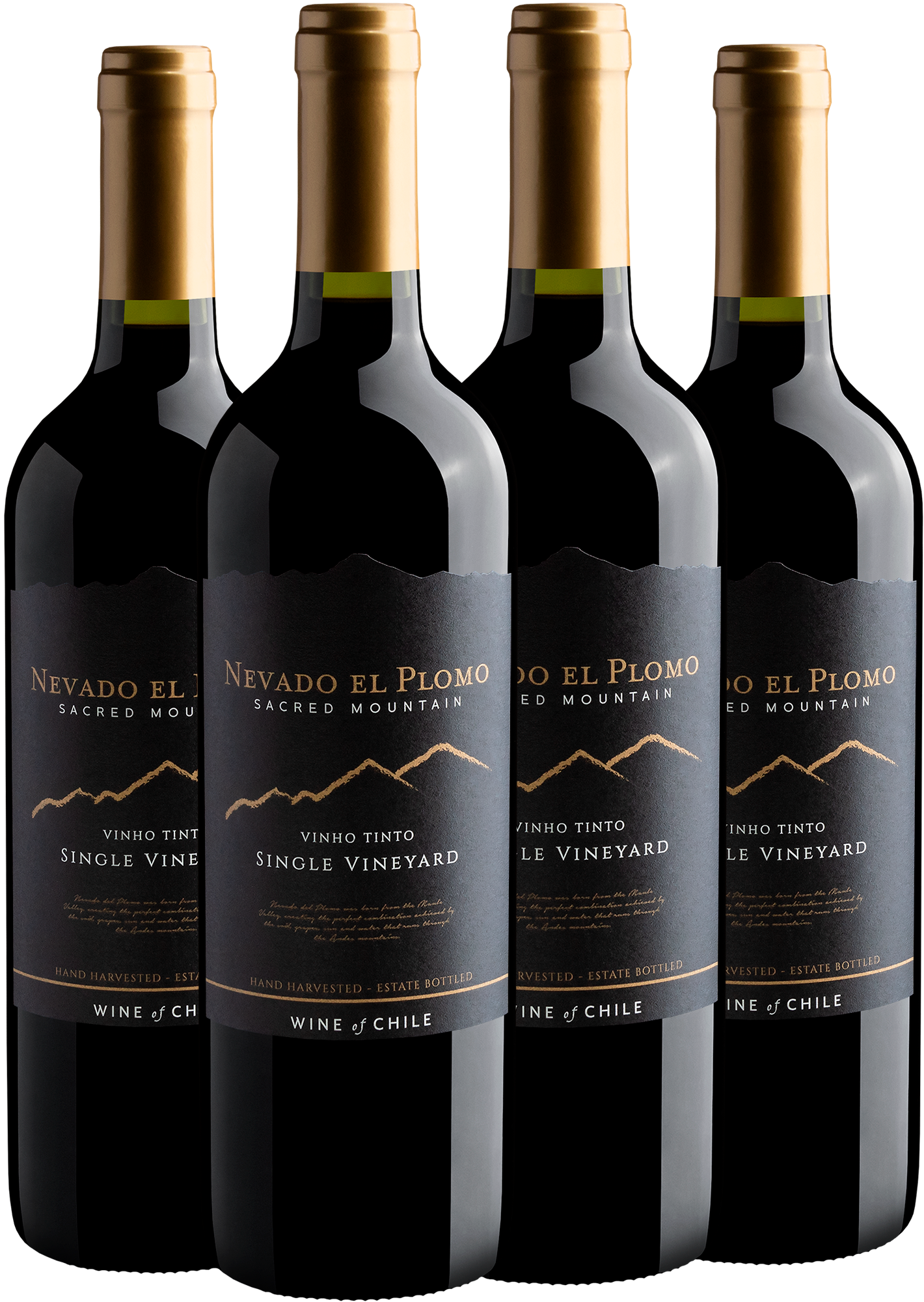 Kit 4 Nevado El Plomo Sacred Mountain Single Vineyard Tinto