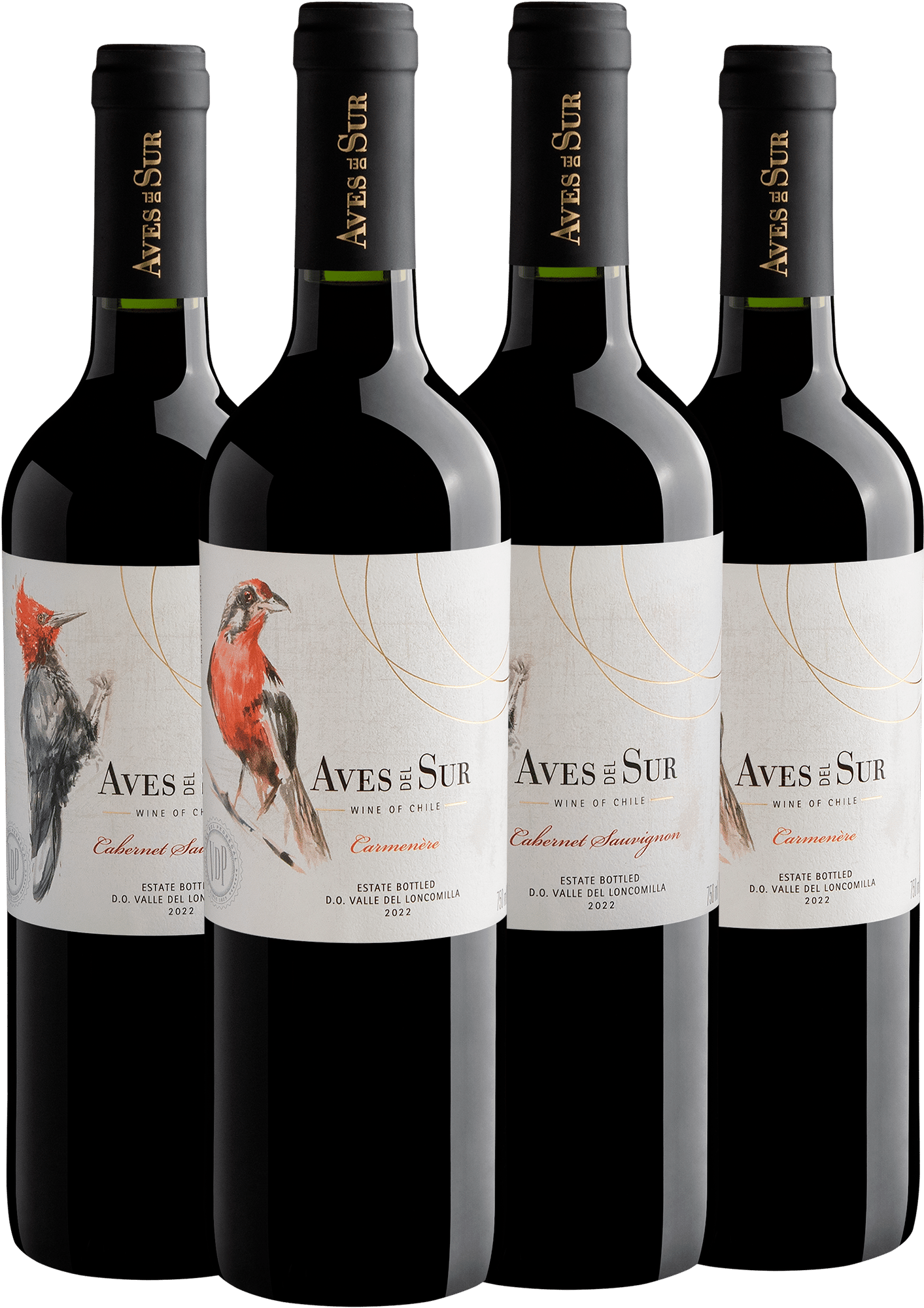 Kit Aves Del Sur: 2 Carménère + 2 Cabernet Sauvignon por R$34,90 cada garrafa
