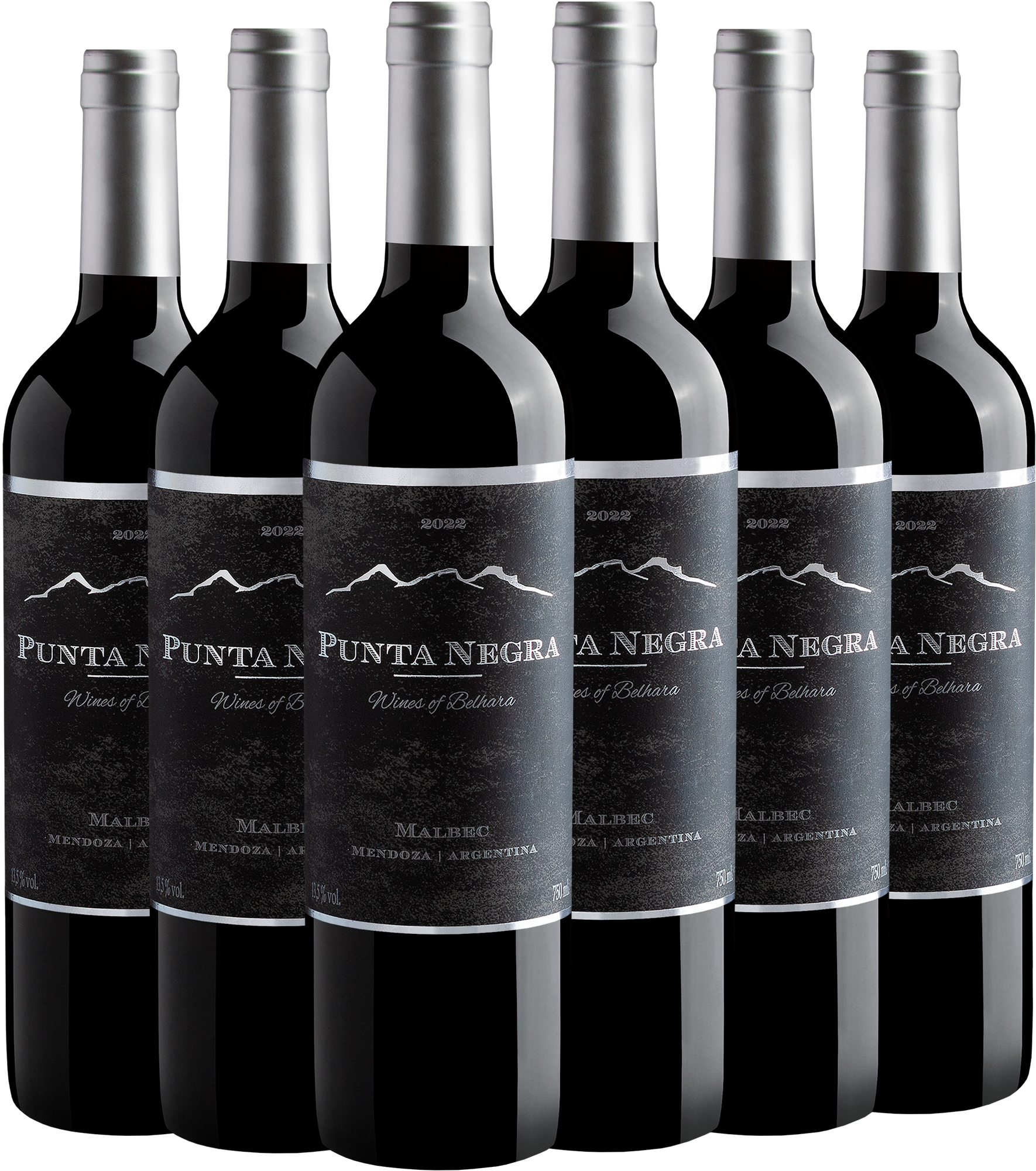 Kit 6 Punta Negra Malbec por R$29,90 cada garrafa