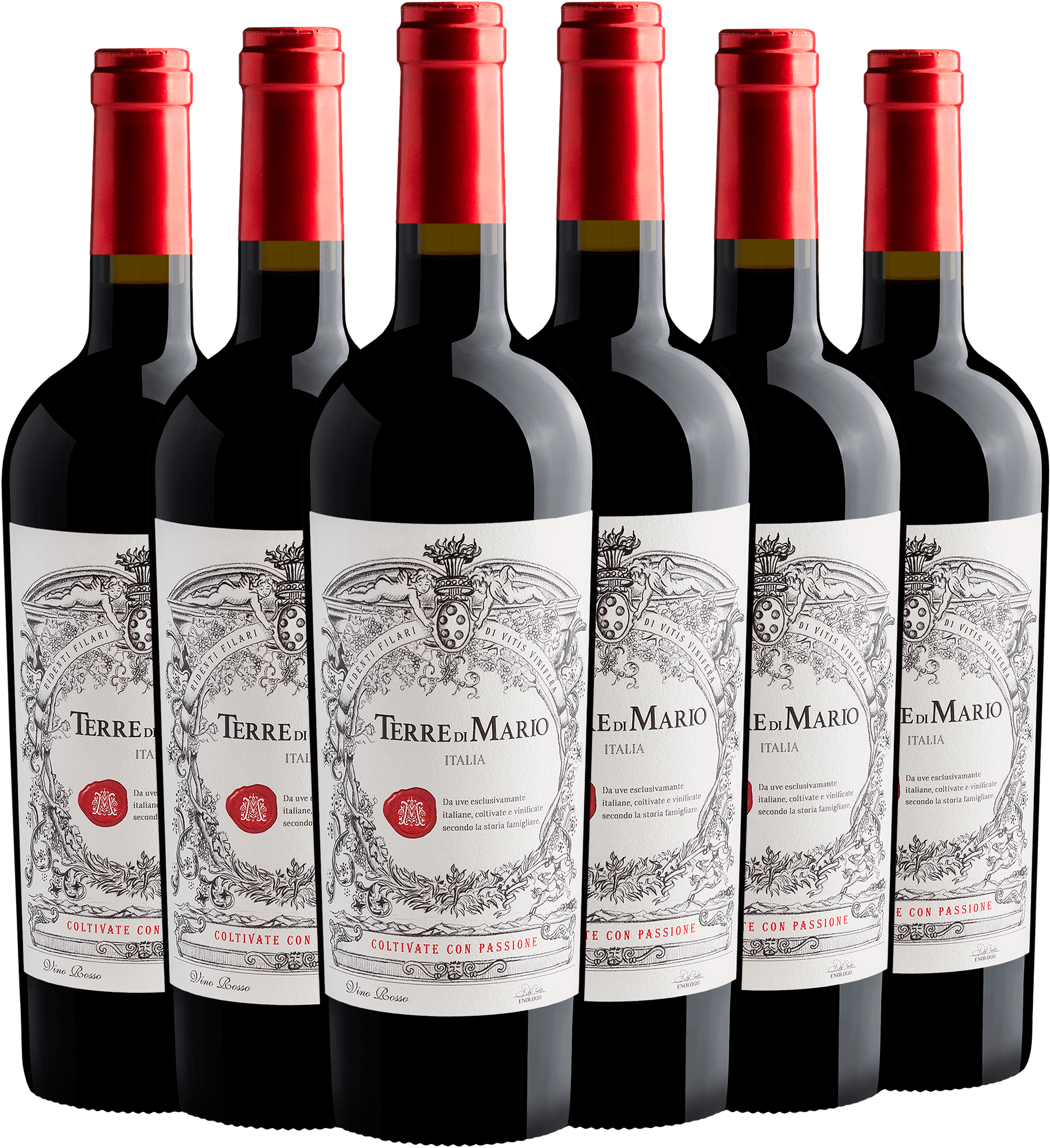 Kit 6 Terre di Mario Vino Rosso-Abboccato 