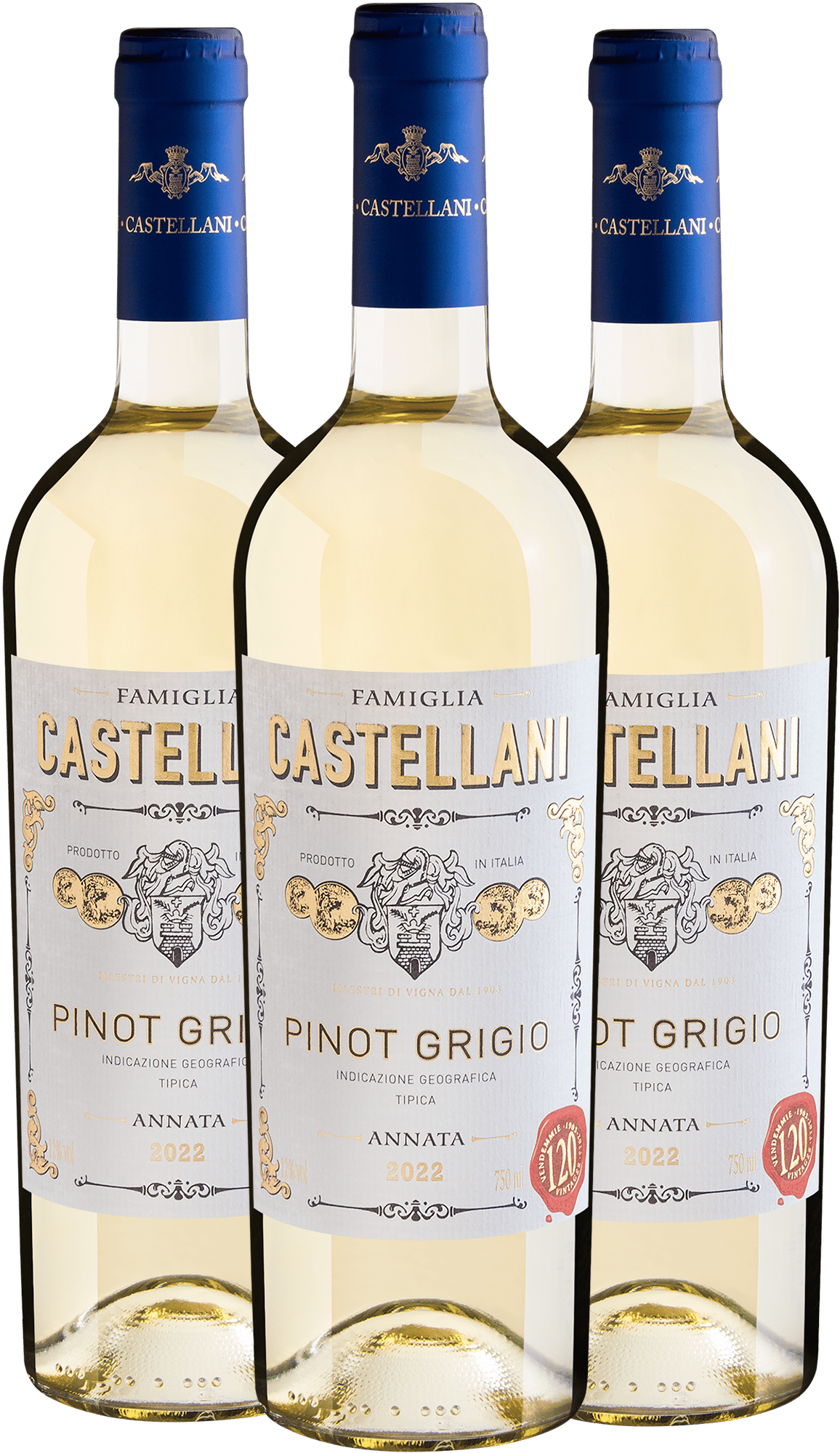 Kit 3 Famiglia Castellani Pinot Grigio IGT por R$54,90 cada garrafa