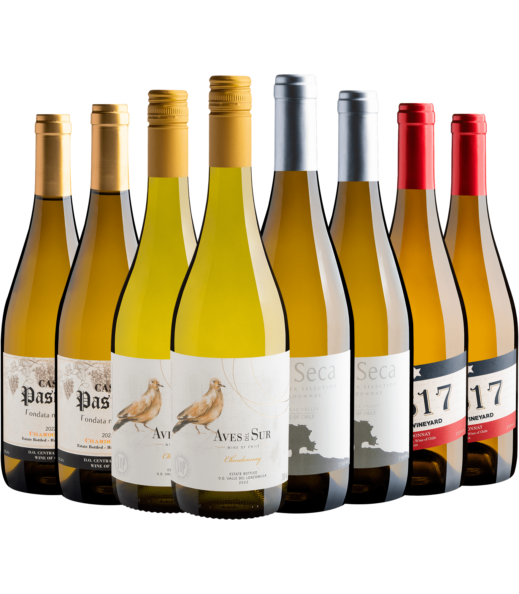 Kit Chardonnays Chilenos | 8 garrafas por R$27,90 cada