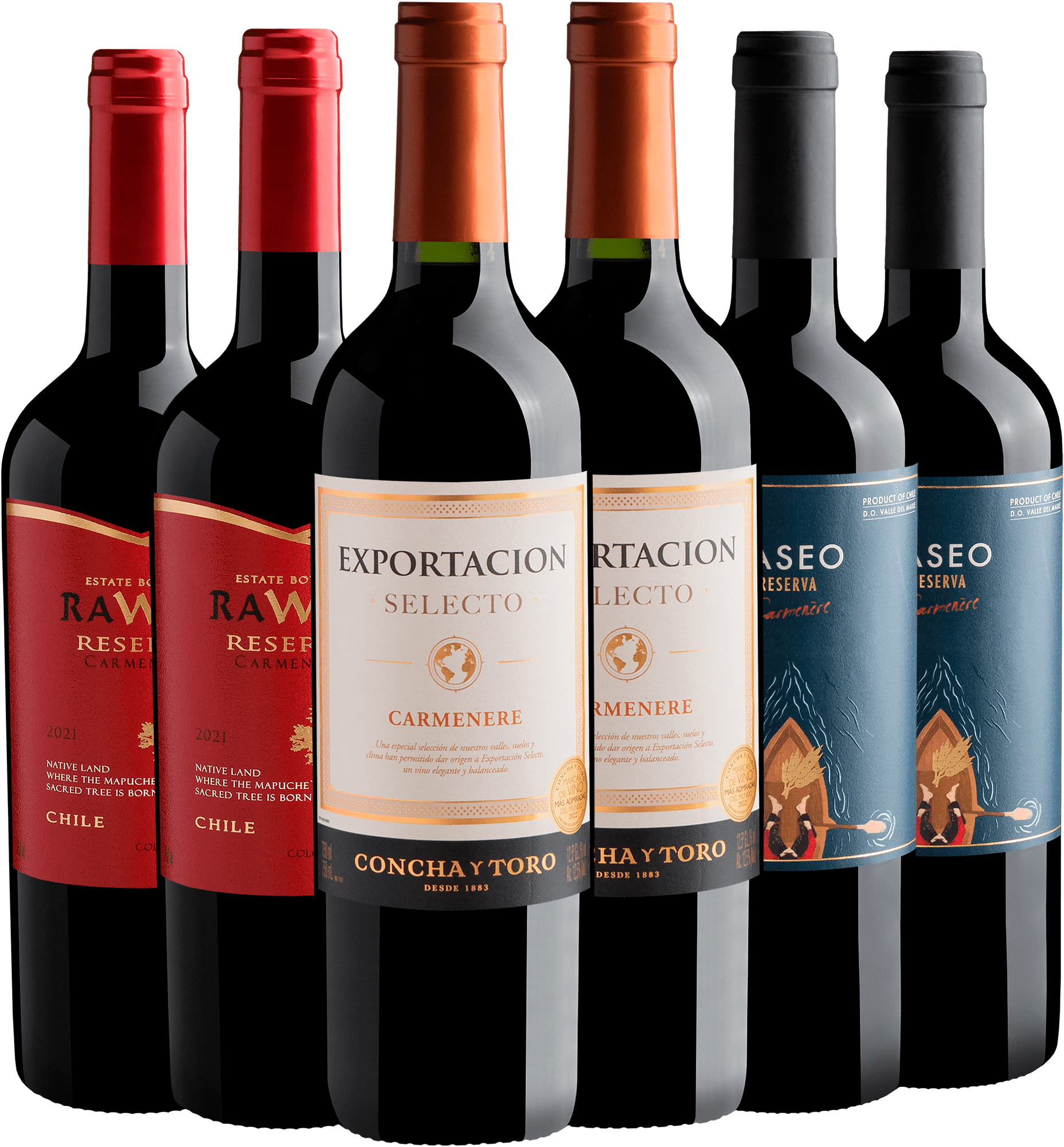 Kit 6 Carménères Chilenos por R$29,90 cada garrafa