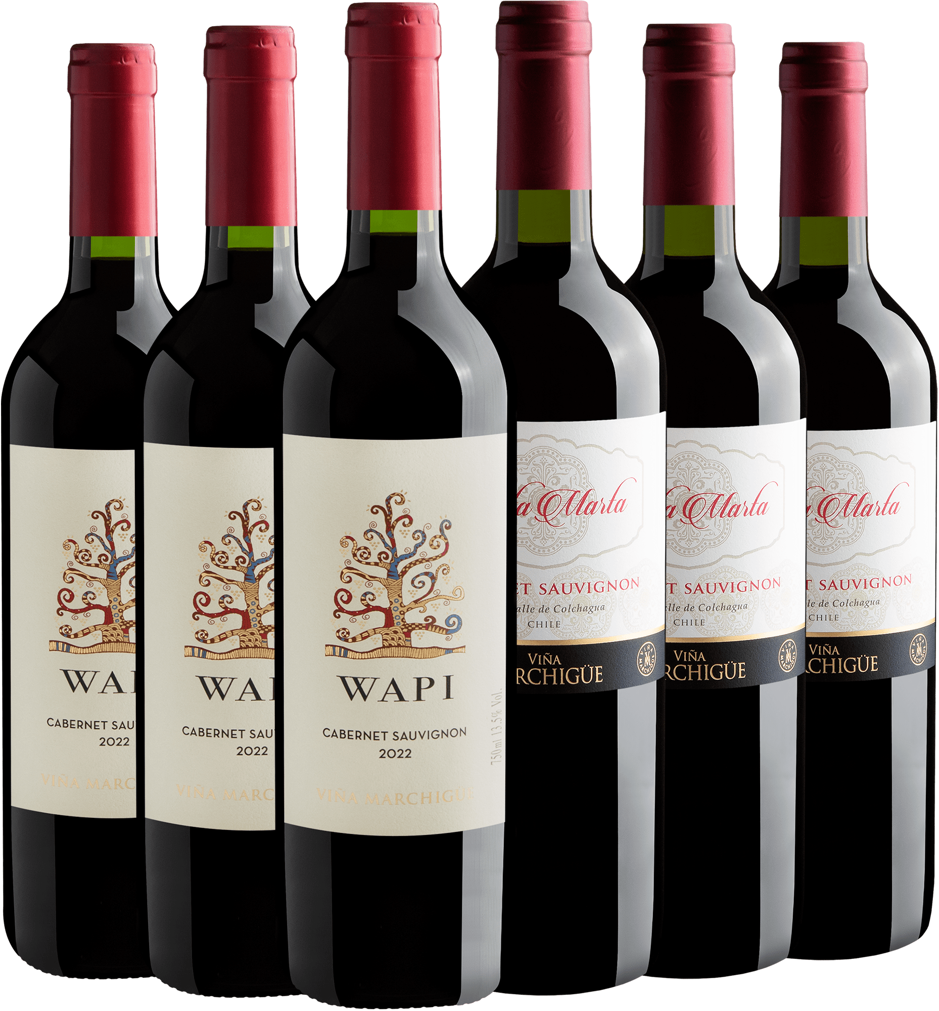 Kit 6 Cabernets Sauvignons Chilenos por R$29,90 cada garrafa