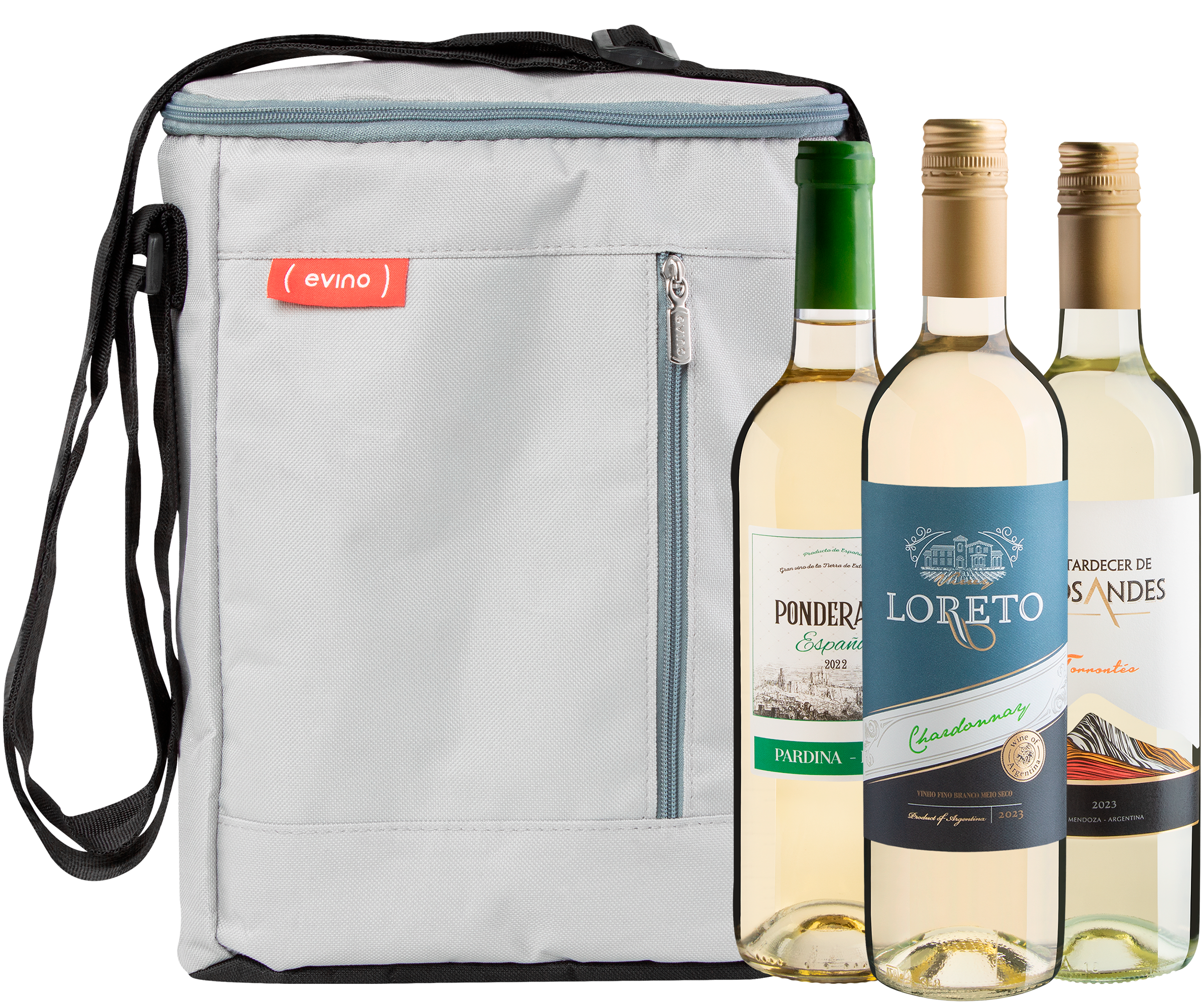 Kit 3 Vinhos Brancos + Bolsa Térmica Exclusiva