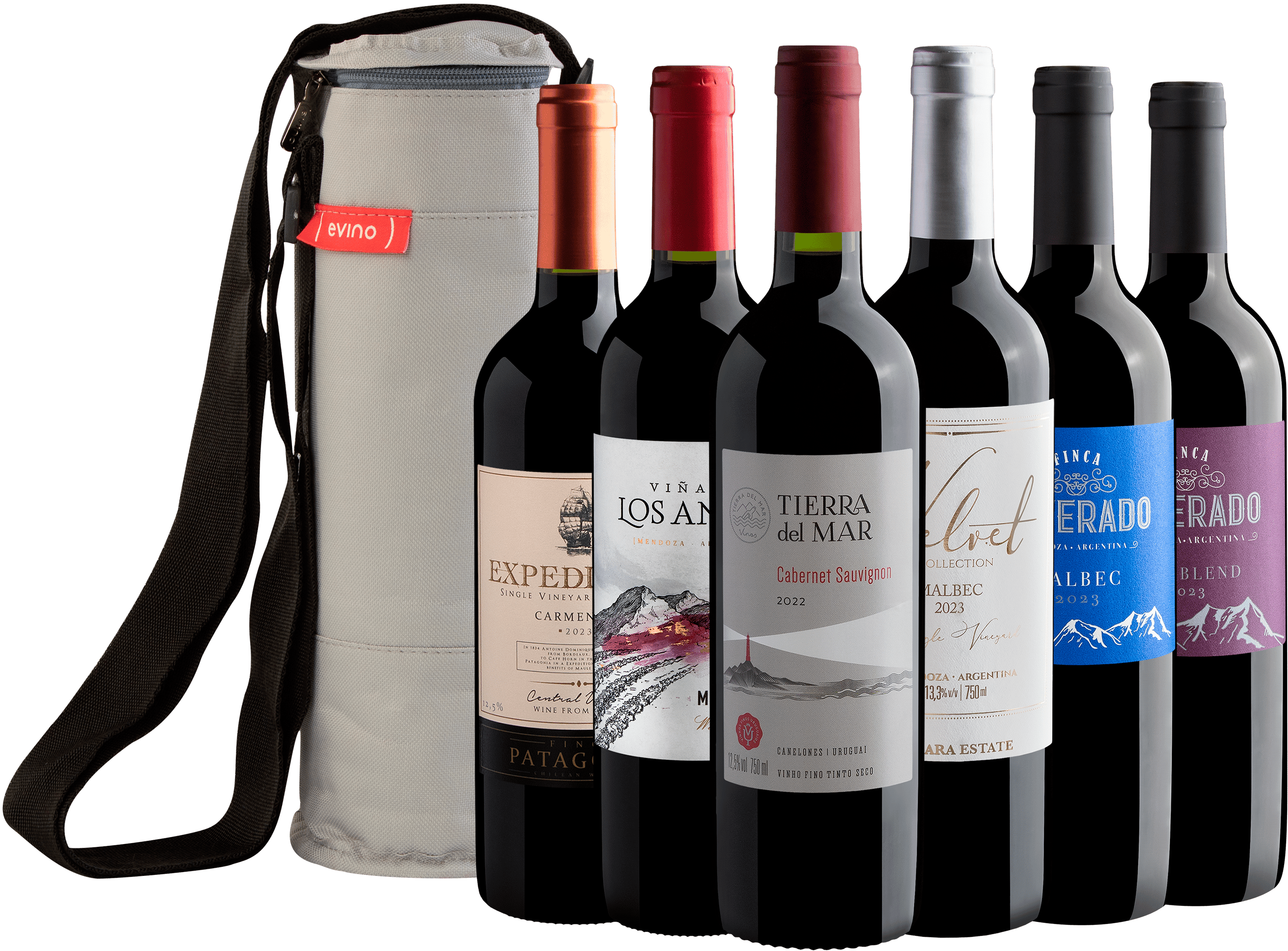 Kit 6 Vinhos do Novo Mundo + Bolsa Exclusiva 