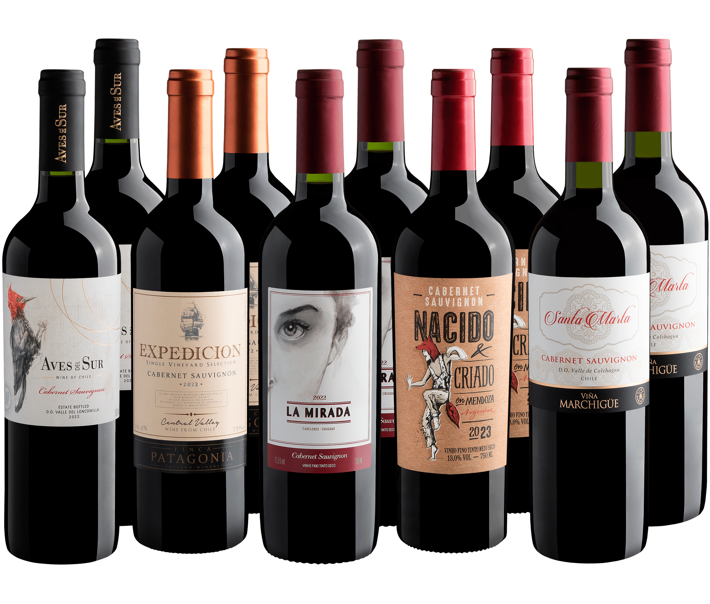 Kit Cabernet Sauvignon em Dobro | 10 garrafas por R$29,90 cada