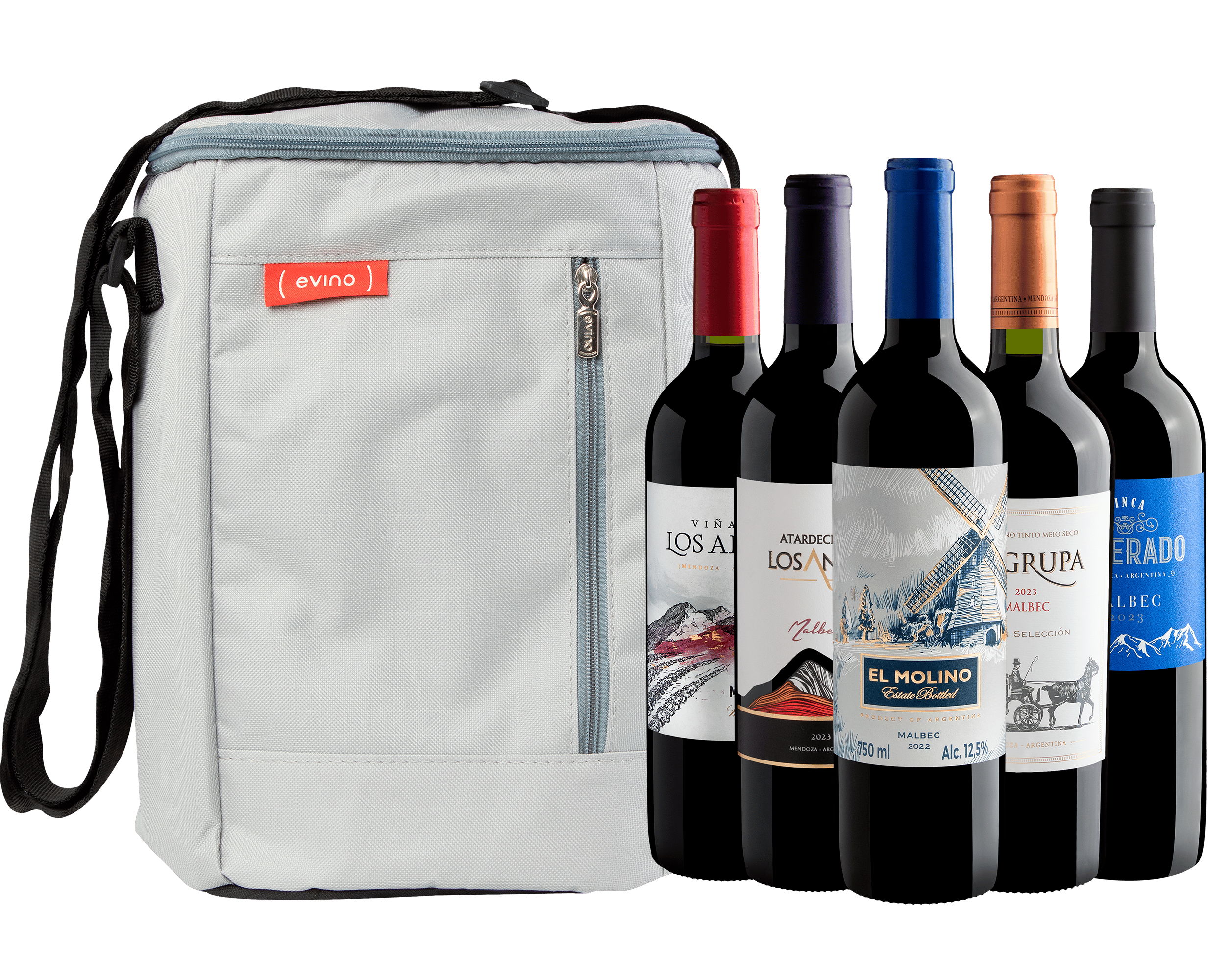 Kit 5 Malbecs + Bolsa Térmica por R$199,90