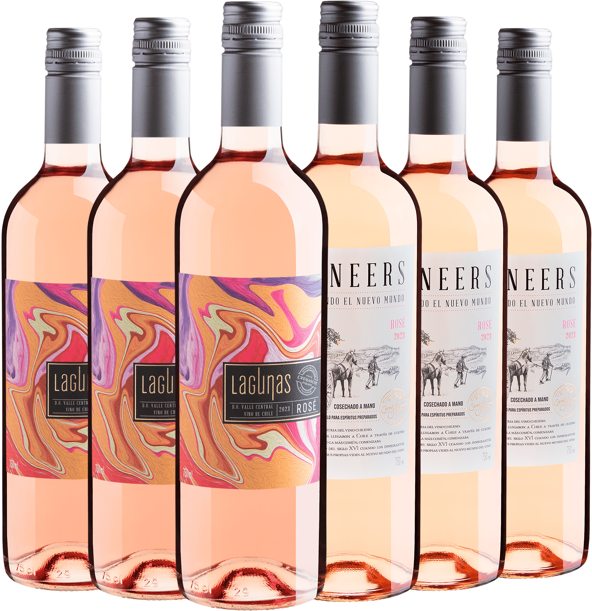 Kit Carménères Rosés: 3 Lagunas + 3 Pioneers por R$29,90 cada garrafa