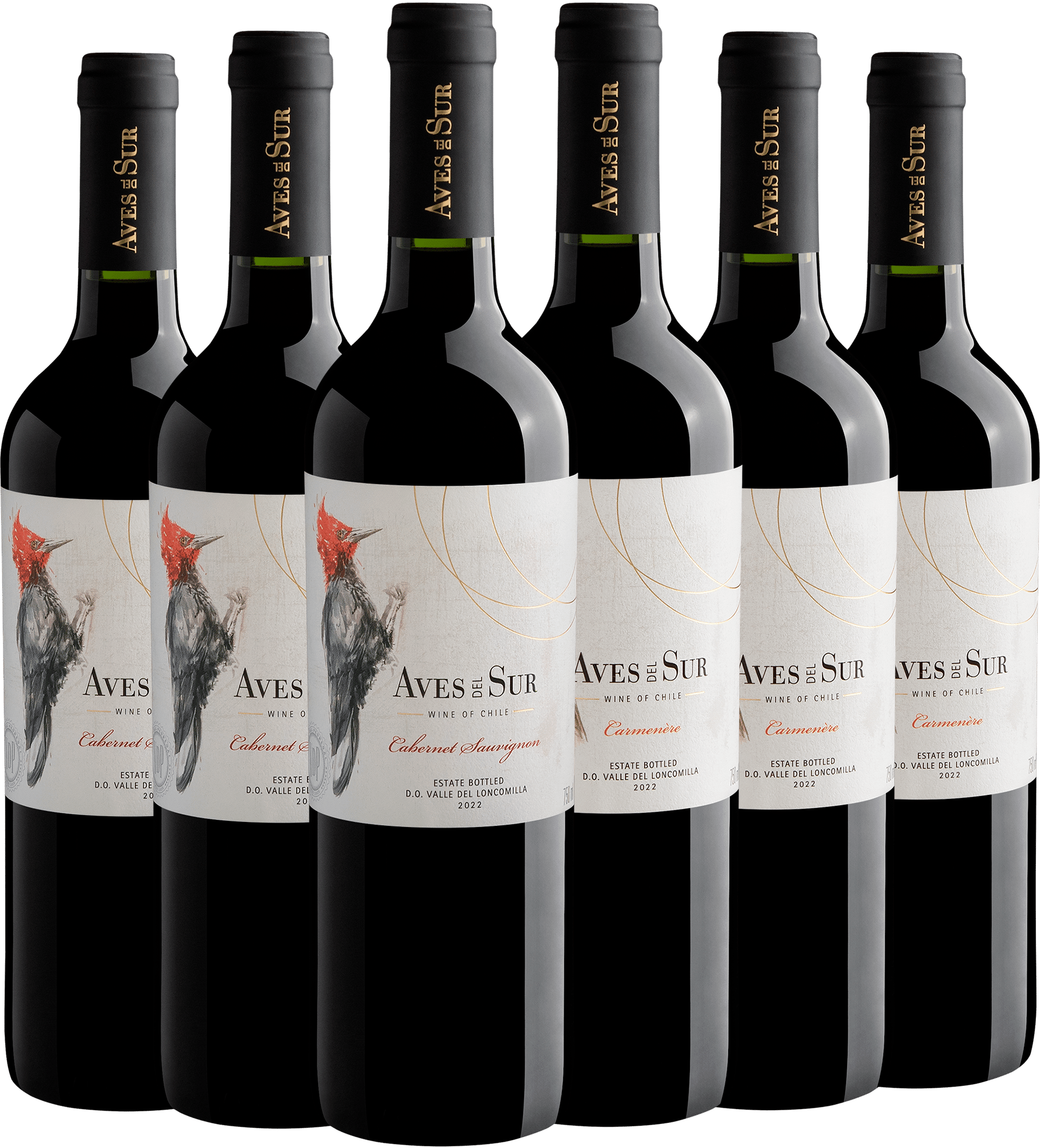 Kit Aves Del Sur: 3 Cabernet Sauvignon + 3 Carménère por R$33,30 cada garrafa