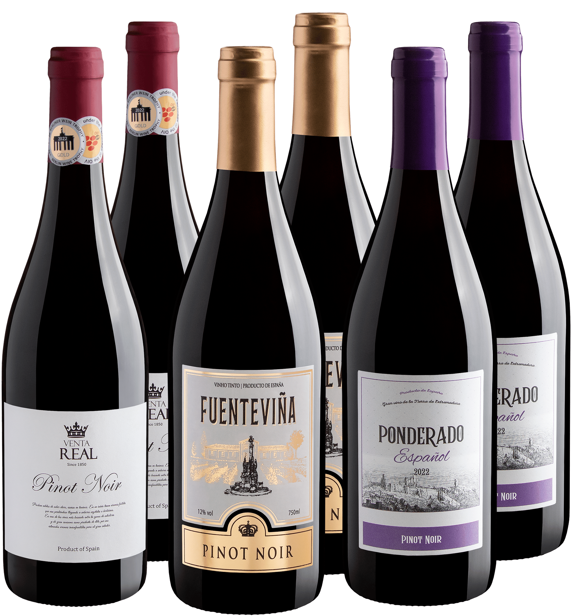 Kit 6 Pinots Noirs Espanhóis por R$29,90 cada garrafa