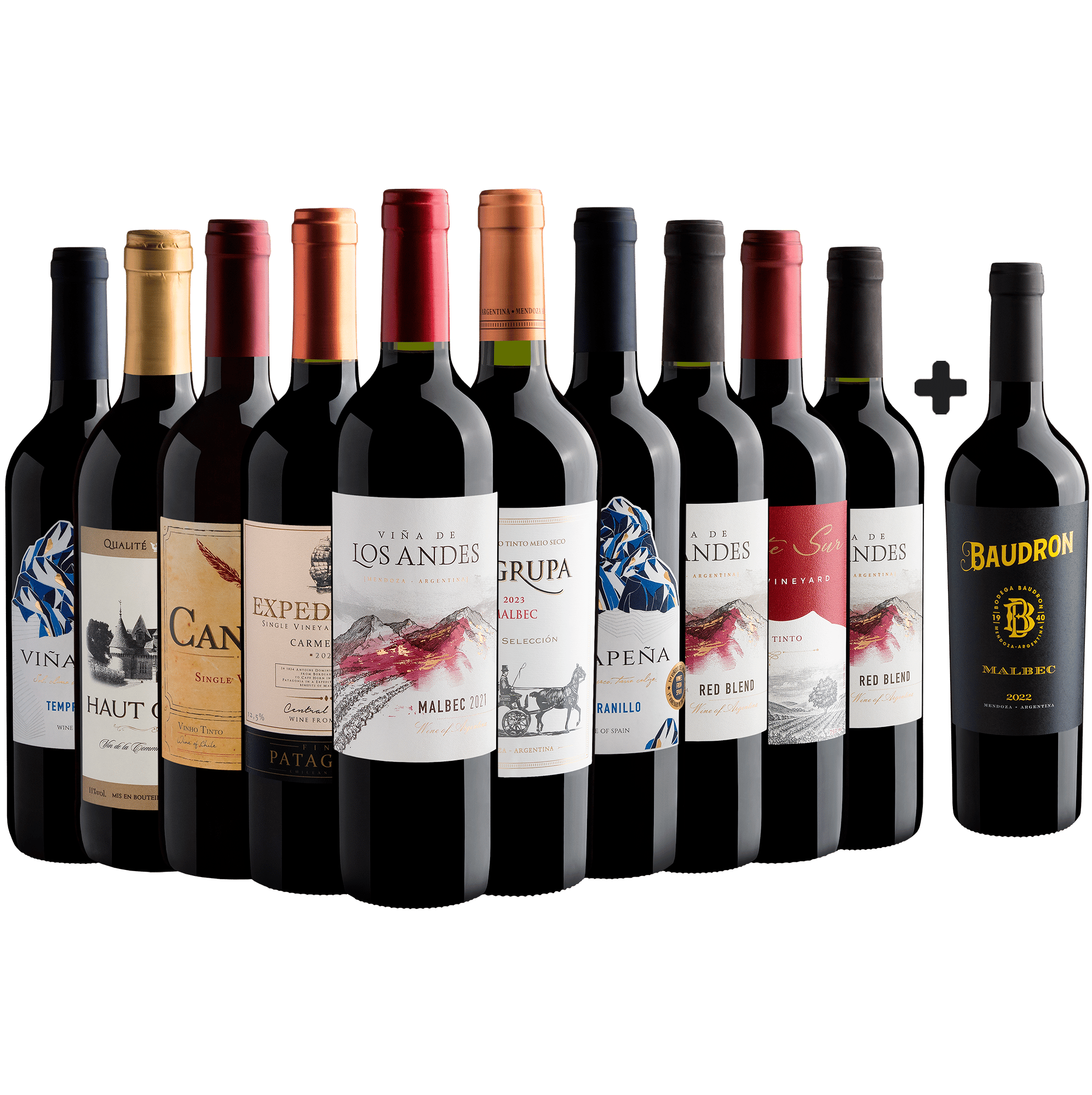 Kit 10 Tintos por R$28,90 cada garrafa + Baudron Malbec Grátis