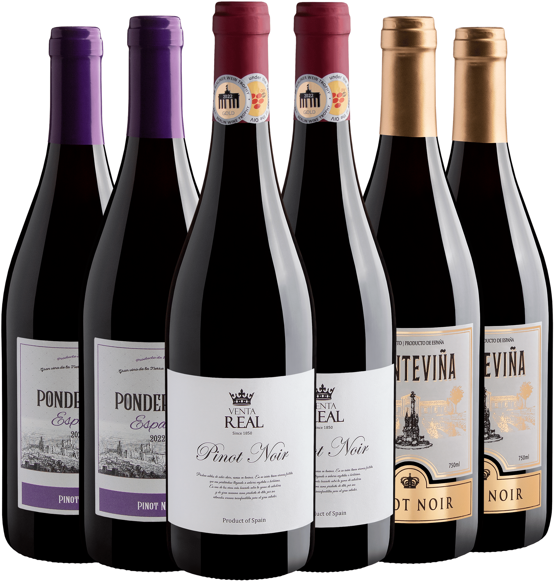 Kit Pinots Noirs Espanhóis | 6 garrafas por R$28,90 cada 