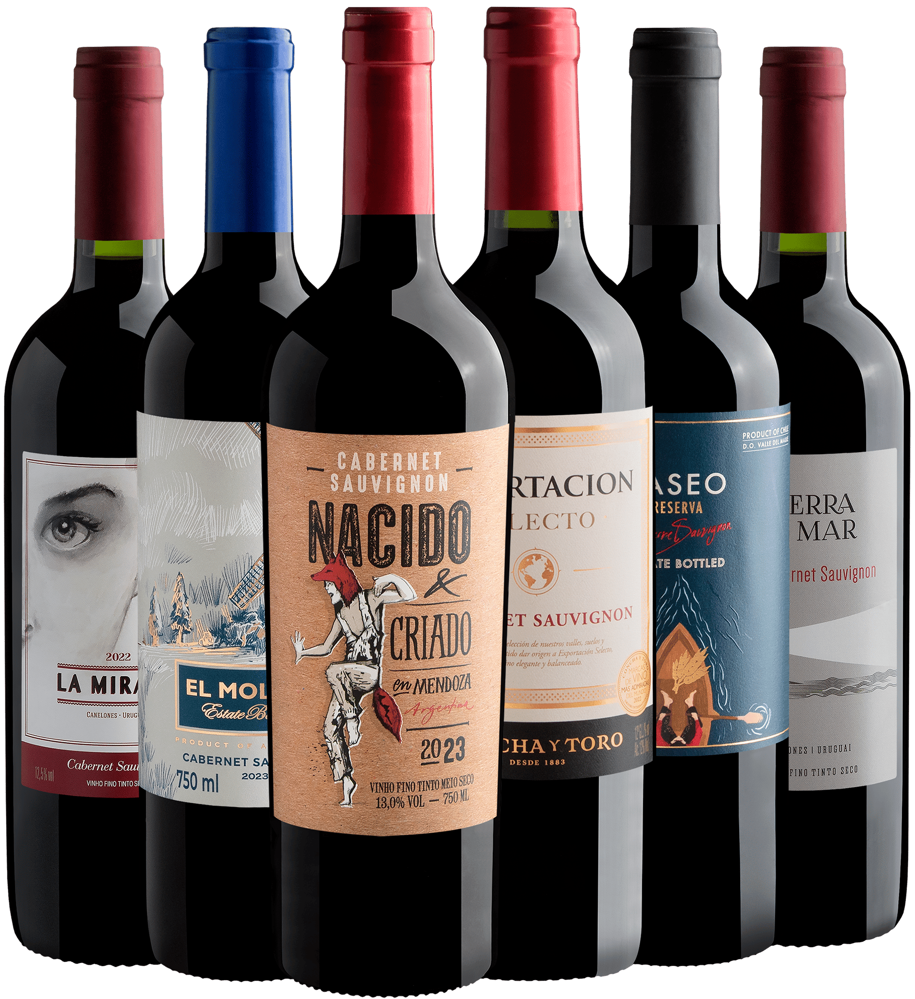 Kit 6 Cabernets Sauvignons por R$33,30 cada garrafa