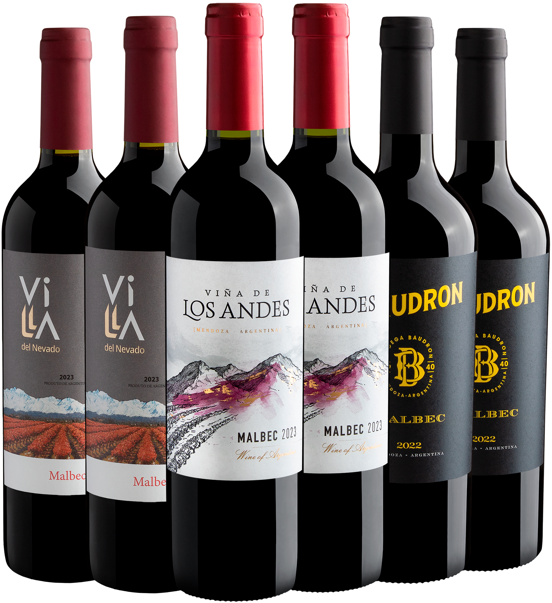 Kit Malbecs em Dobro | 6 garrafas por R$26,90 cada