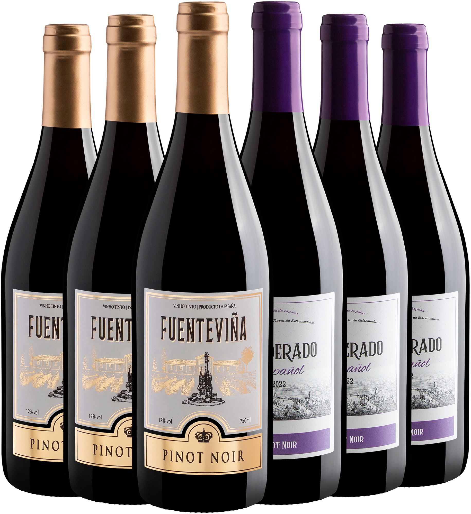 Kit 6 Pinots Noirs Espanhóis por R$25,90 cada garrafa