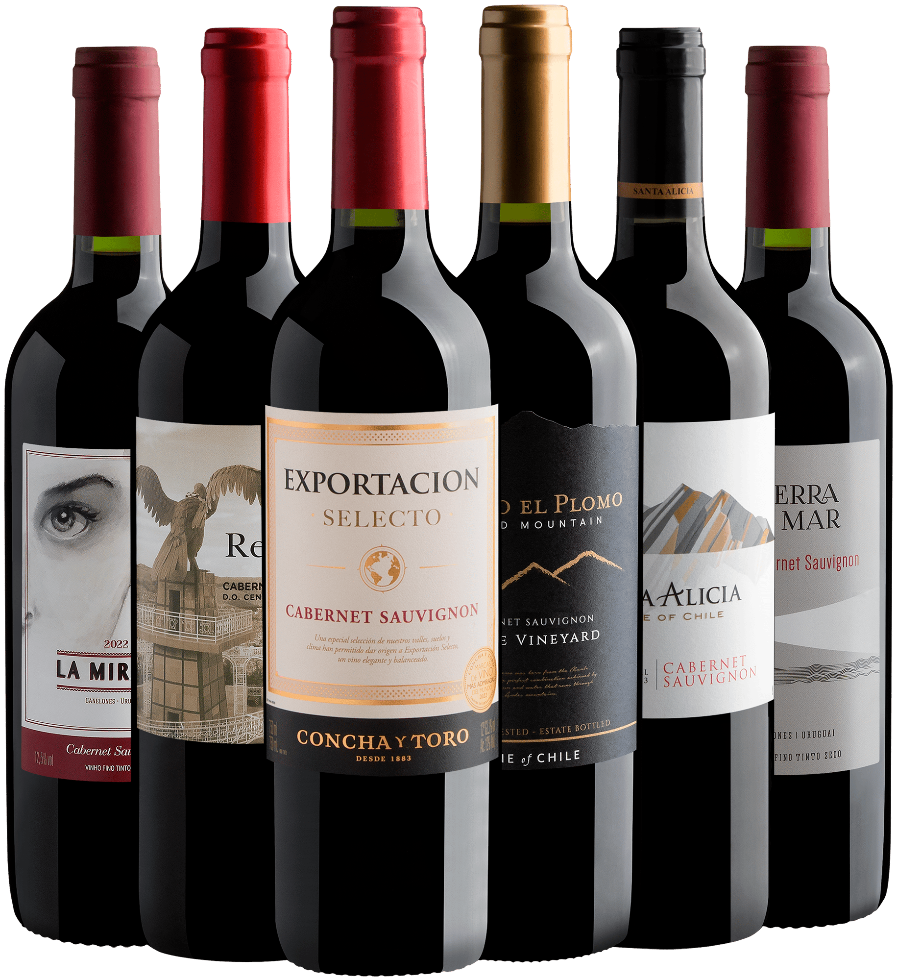 Kit 6 Cabernets Sauvignons por R$33,30 cada garrafa