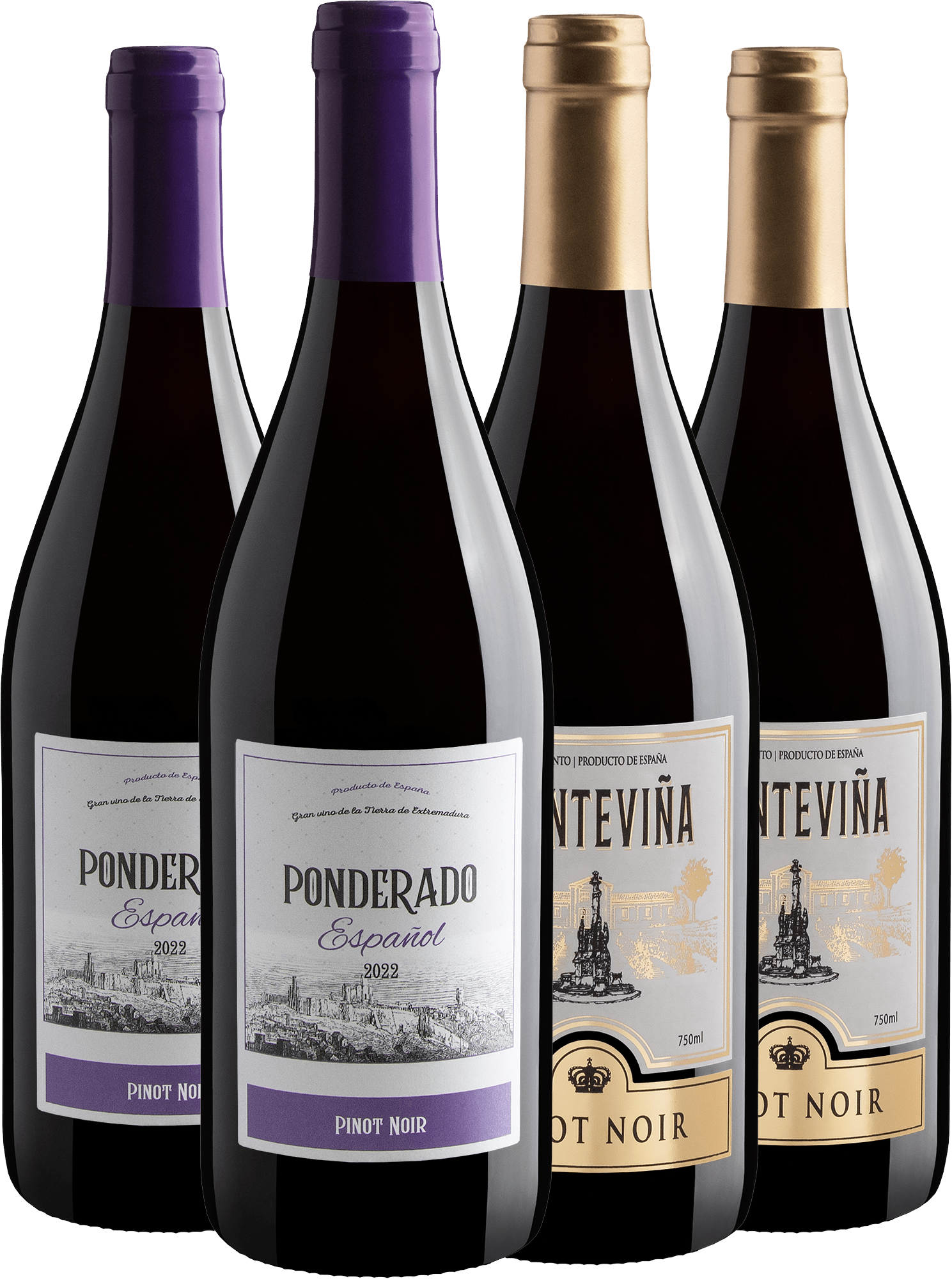 Kit Pinot Noir | 2 Ponderado + 2 Fuenteviña 