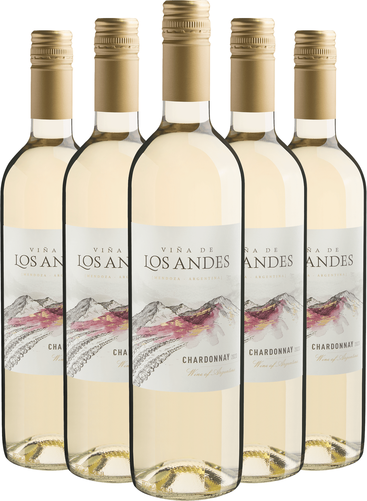 Kit 5 Viña de Los Andes Chardonnay por R$27,90 cada garrafa