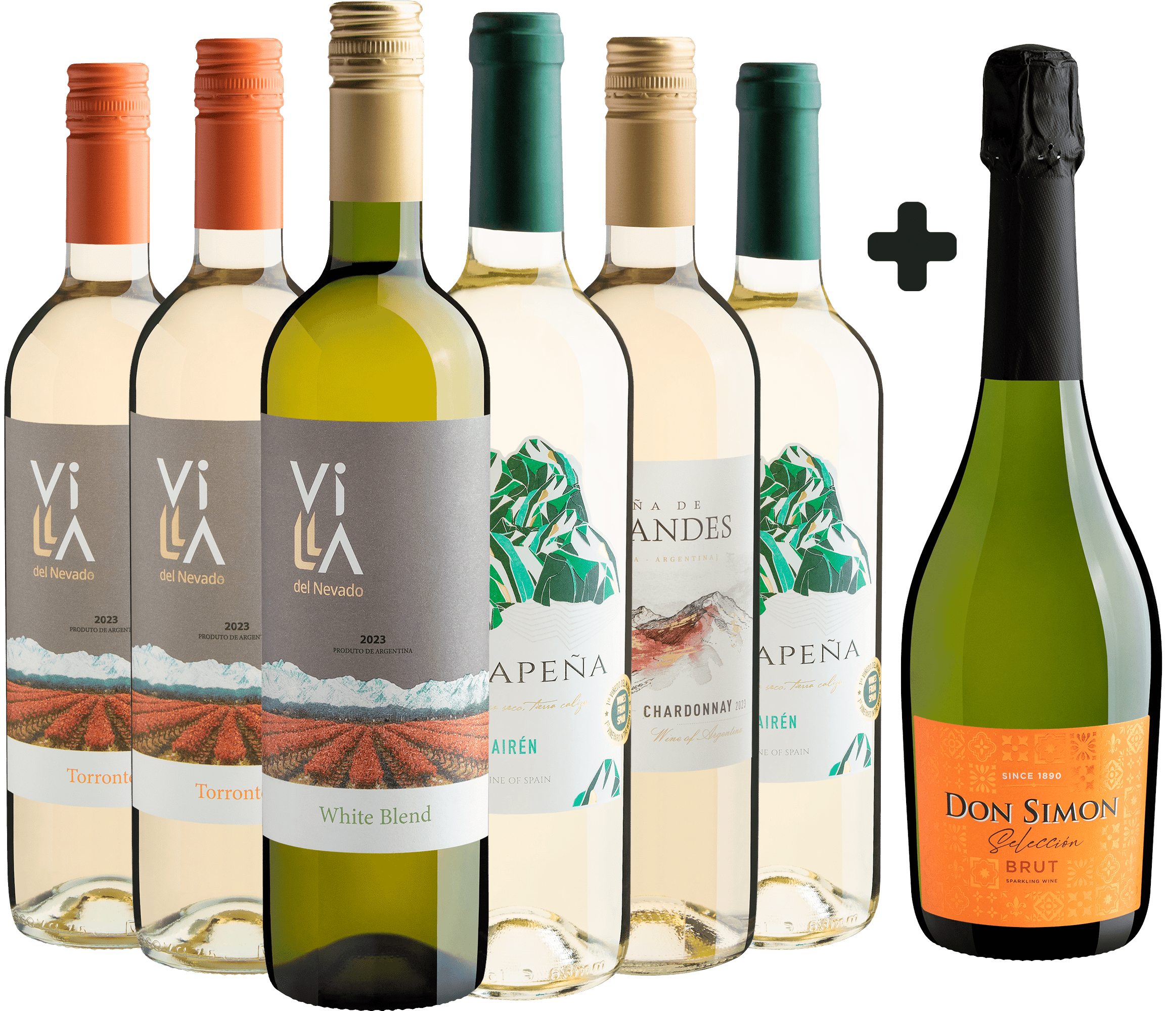 Kit 6 Vinhos Brancos por 29,90 cada + 1 Don Simon Brut Grátis