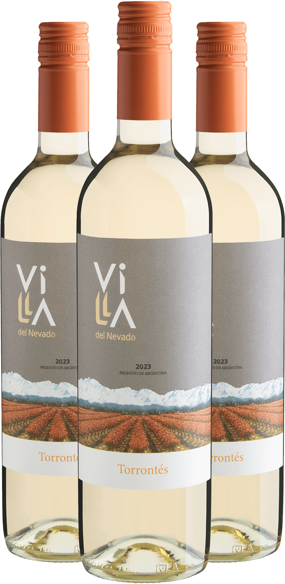 Kit 3 Villa del Nevado Torrontés por R$26,90 cada garrafa