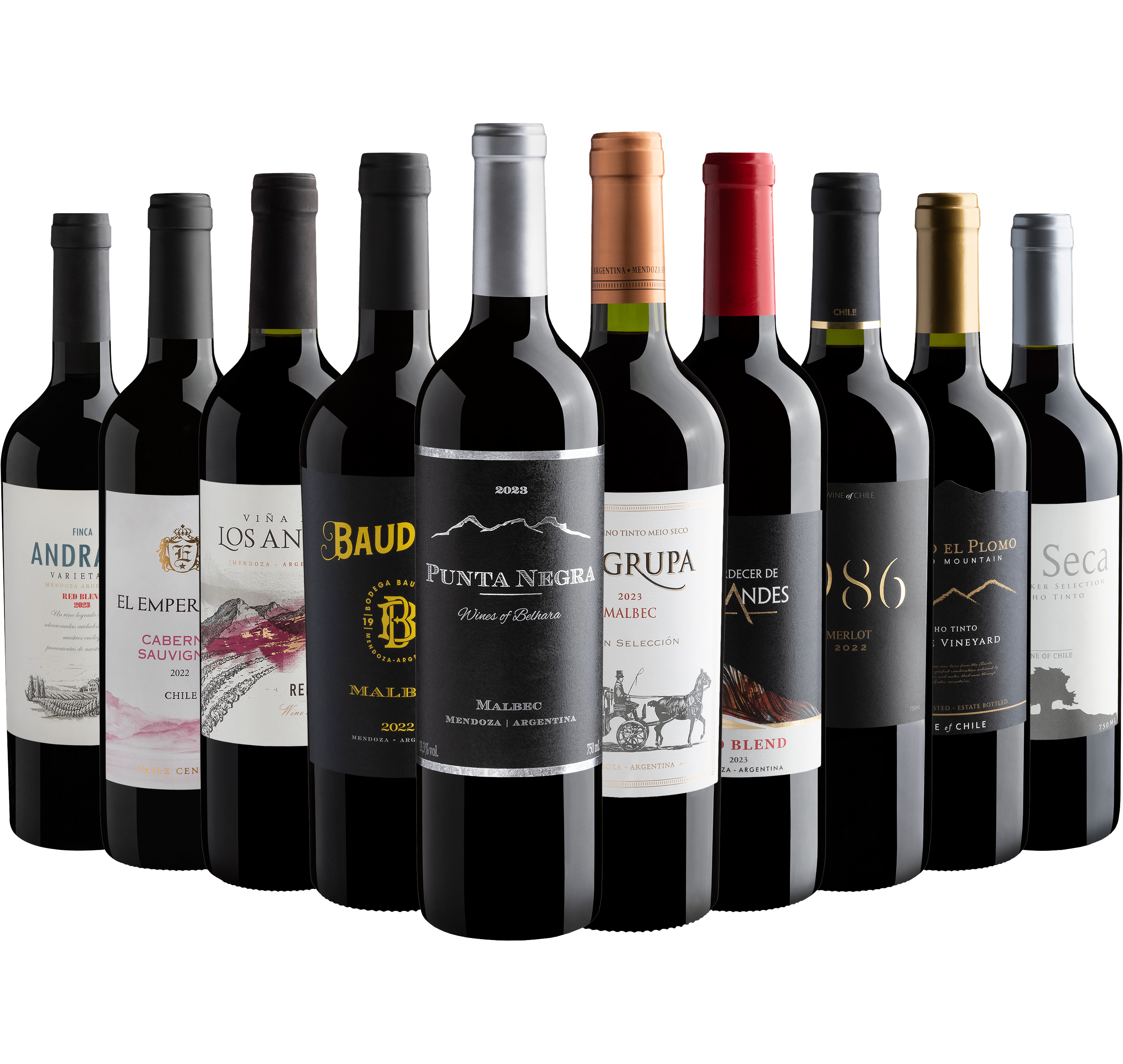 Kit 10 Vinhos do Novo Mundo com Punta Negra