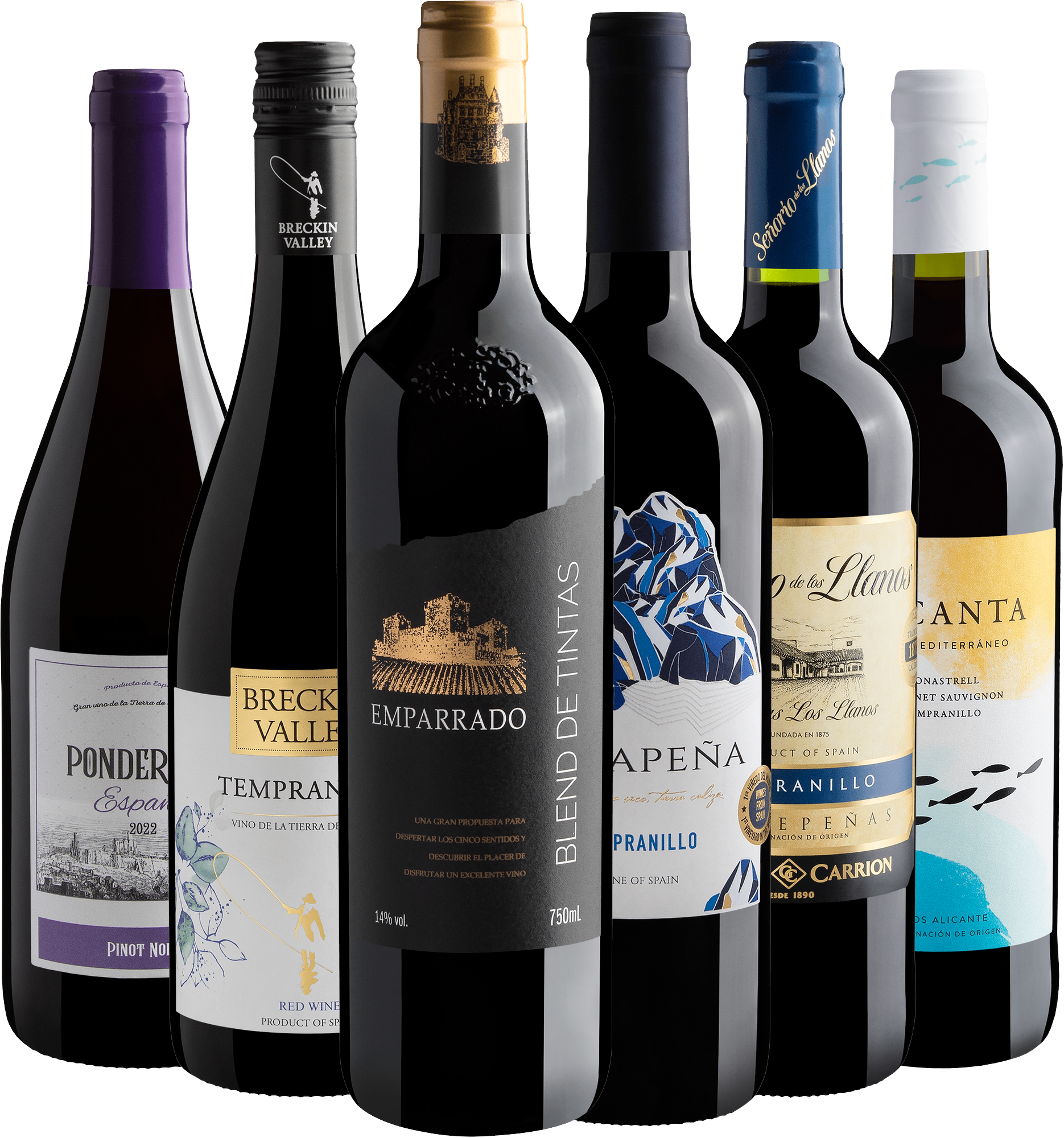 Kit 6 Vinhos Espanhóis por R$28,90 cada garrafa