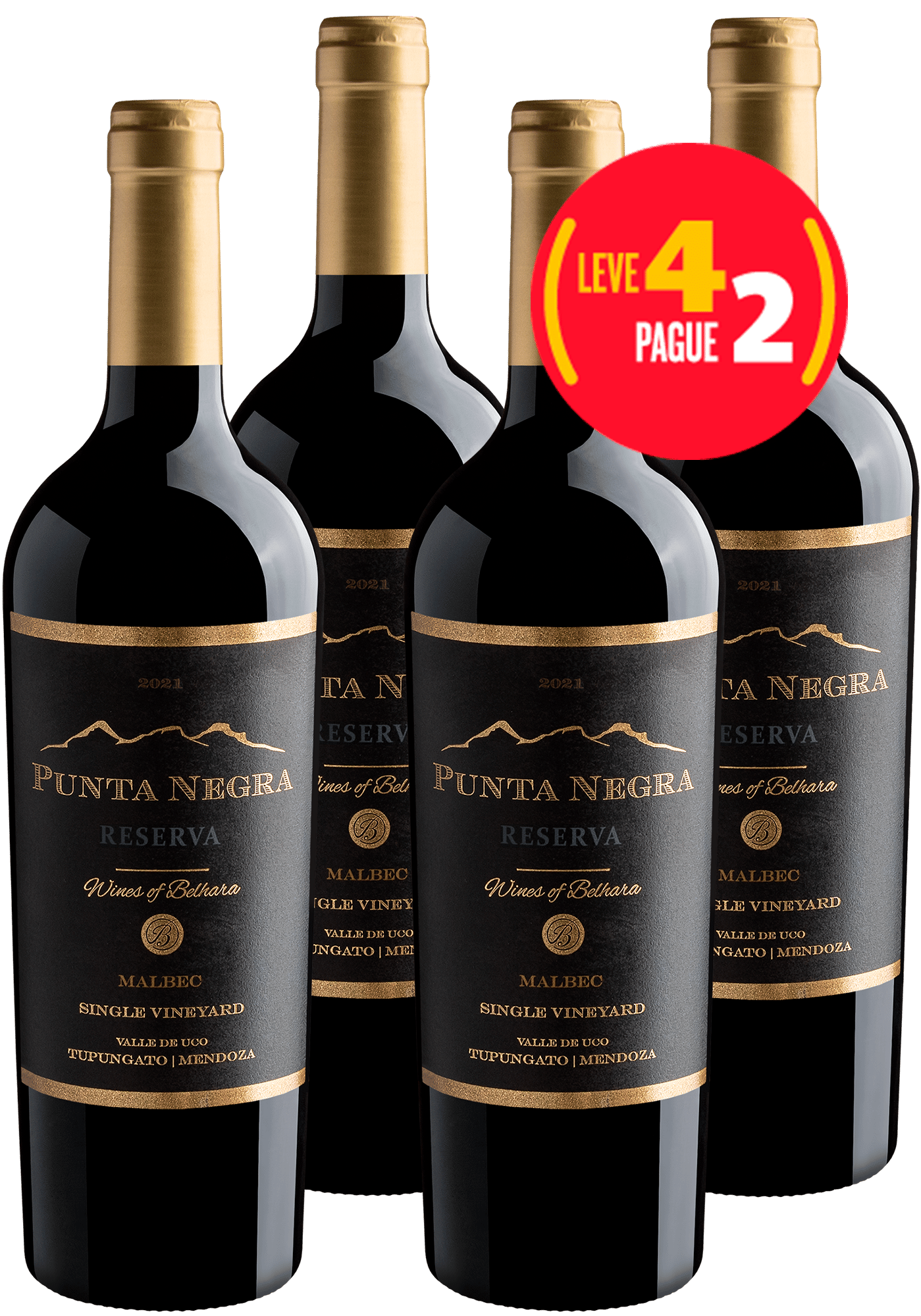 Leve 4 Pague 2 Punta Negra Reserva Malbec Single Vineyard