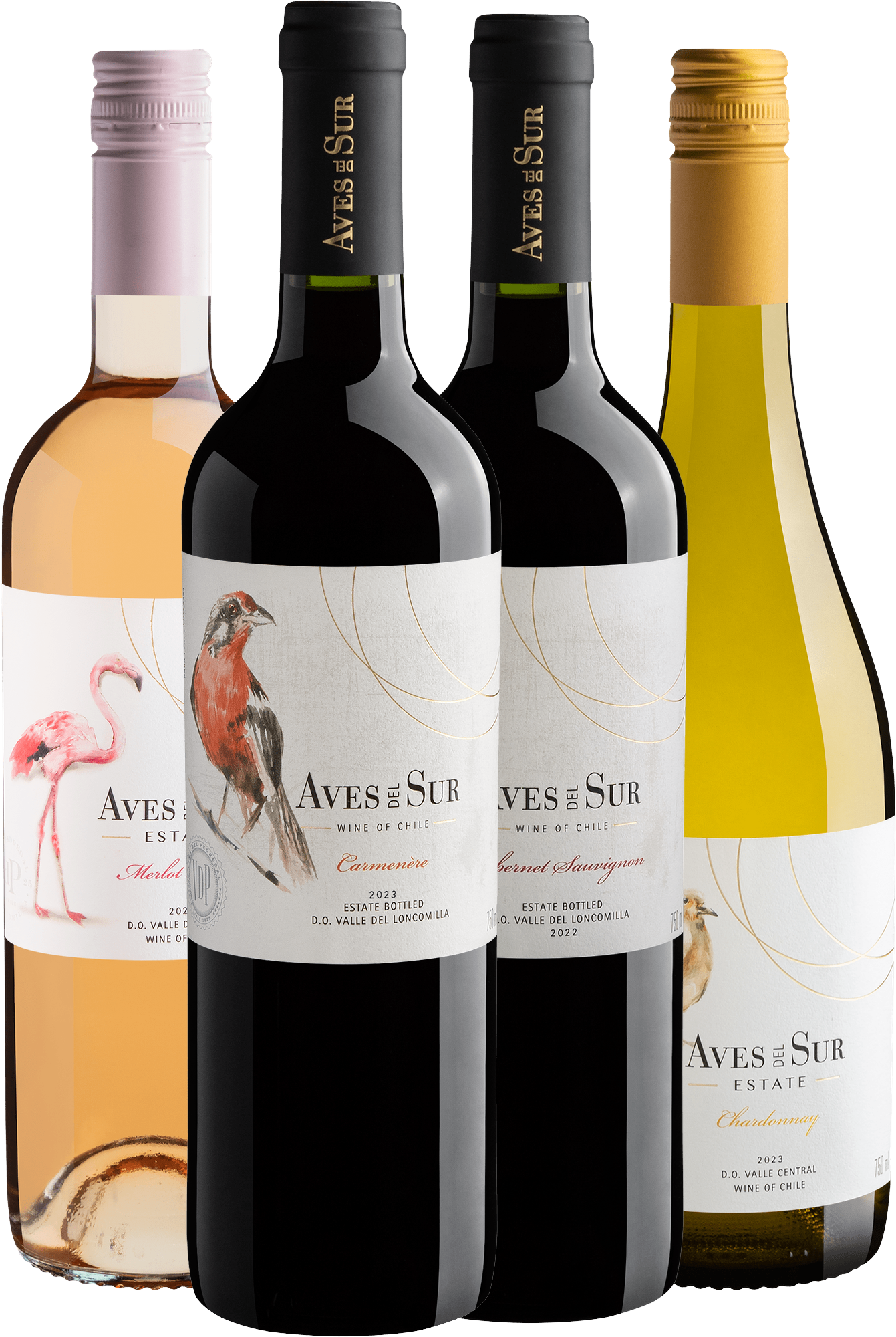 Kit 4 Aves del Sur 