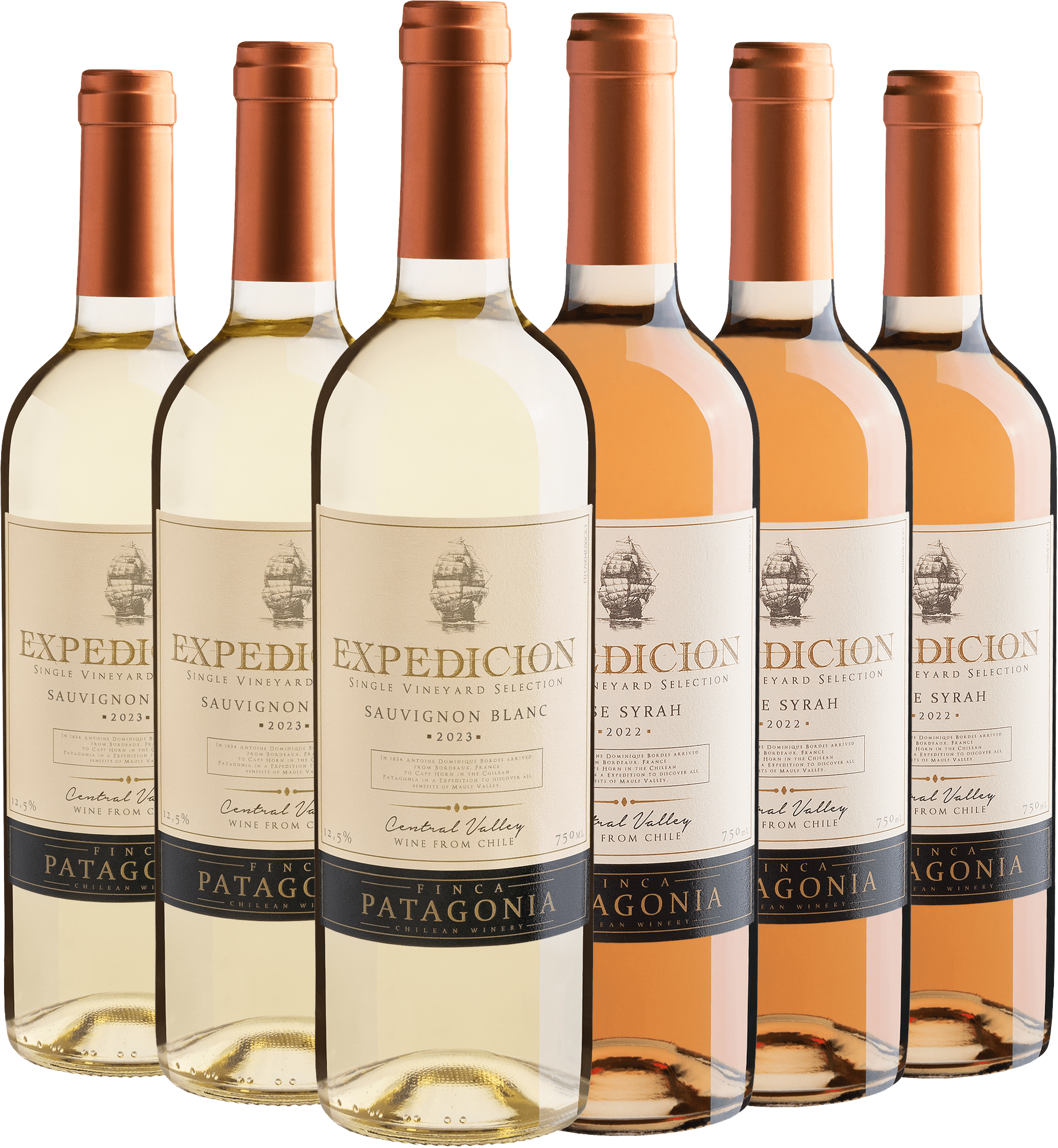 Kit Expedicion | 3 Sauvignon Blanc + 3 Syrah por R$27,90 cada garrafa