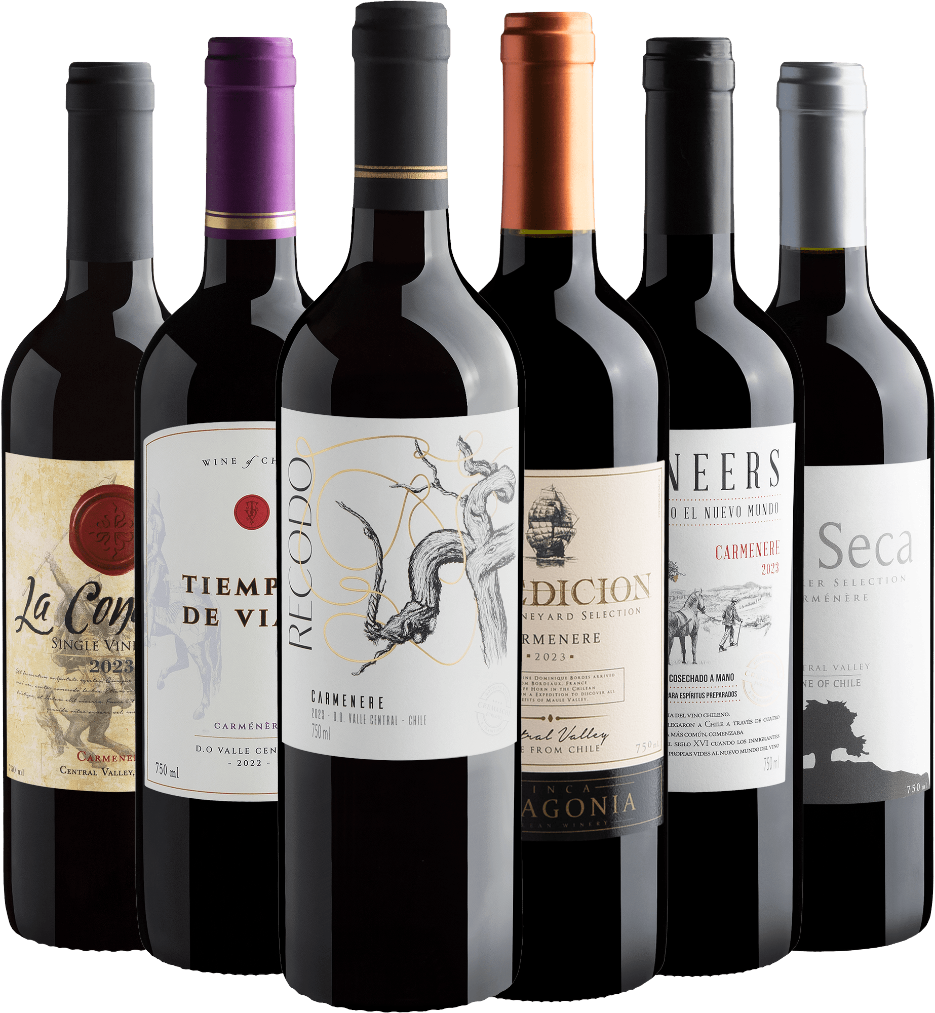 Kit Carménères Chilenos | 6 garrafas por R$27,90 cada