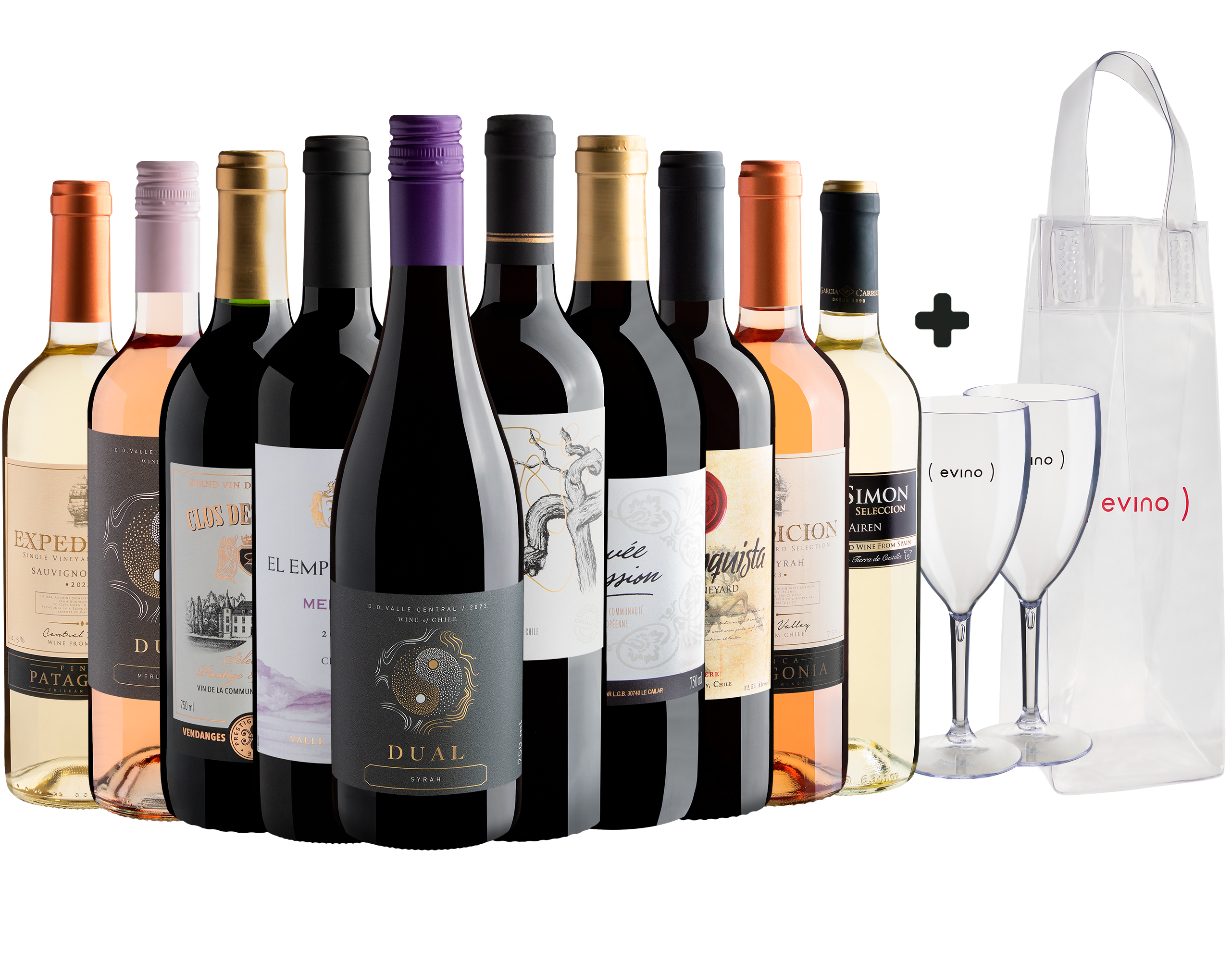 Kit 10 Vinhos por R$29,90 cada garrafa + 2 Taças + Ice Bag Grátis 