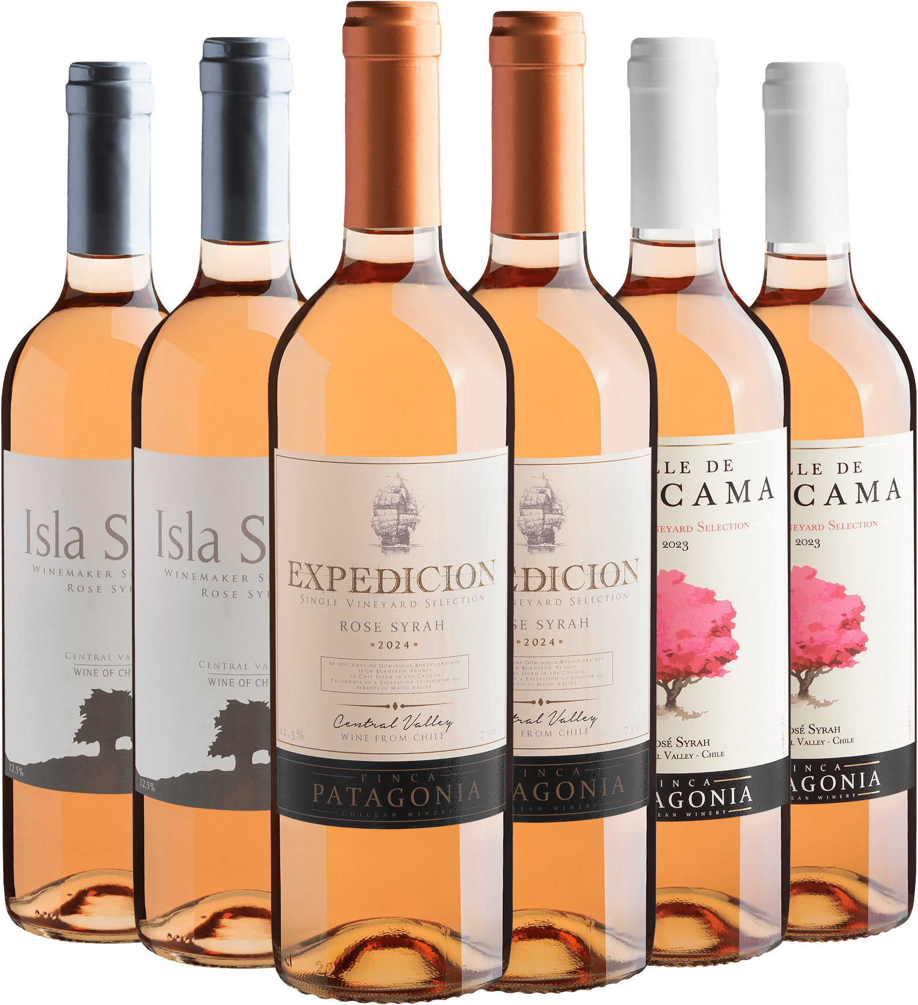 Kit Syrah Rosé | 6 garrafas por R$27,90 cada 