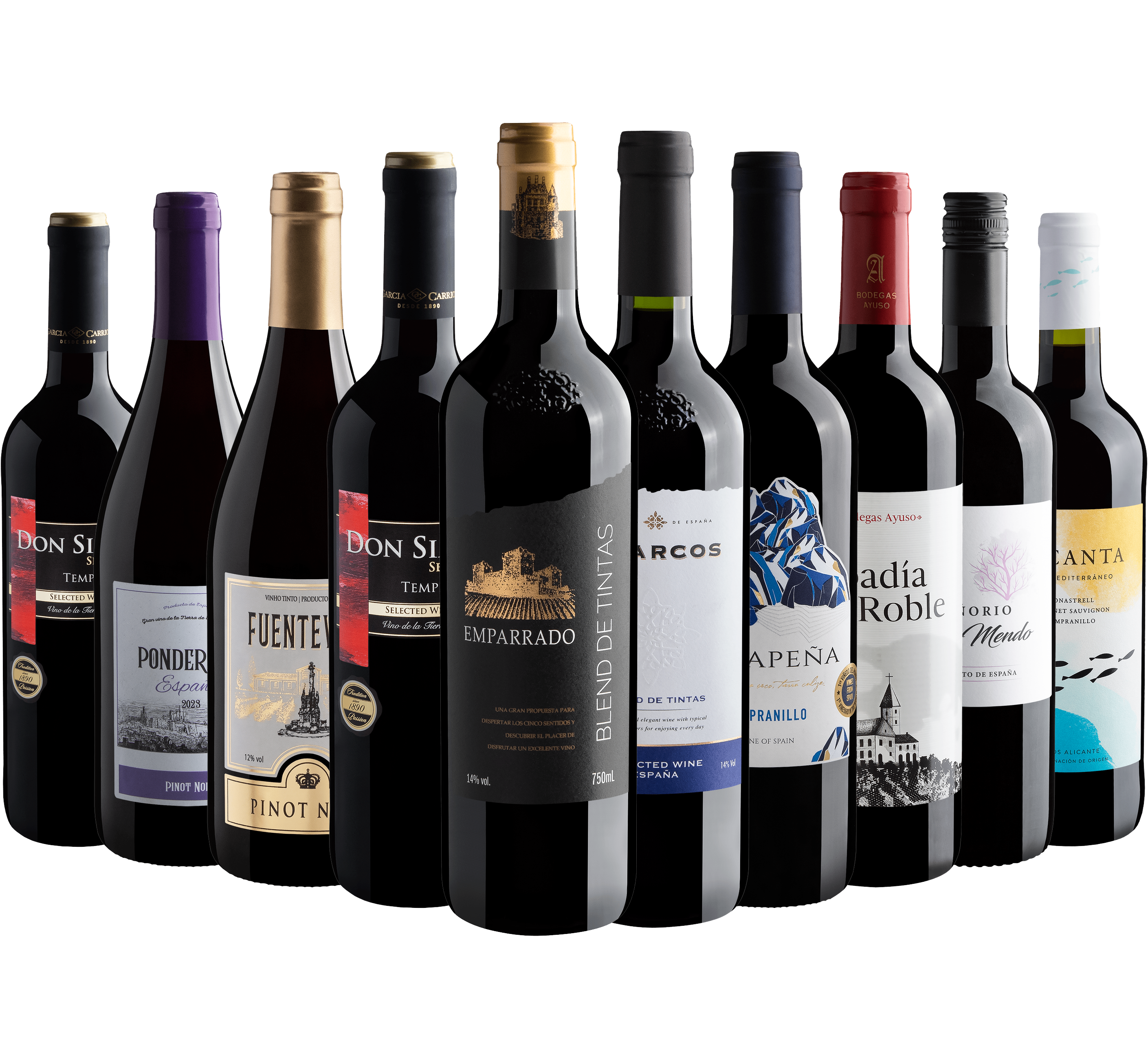 Kit Vinhos Espanhóis | 10 garrafas por R$26,90 cada 