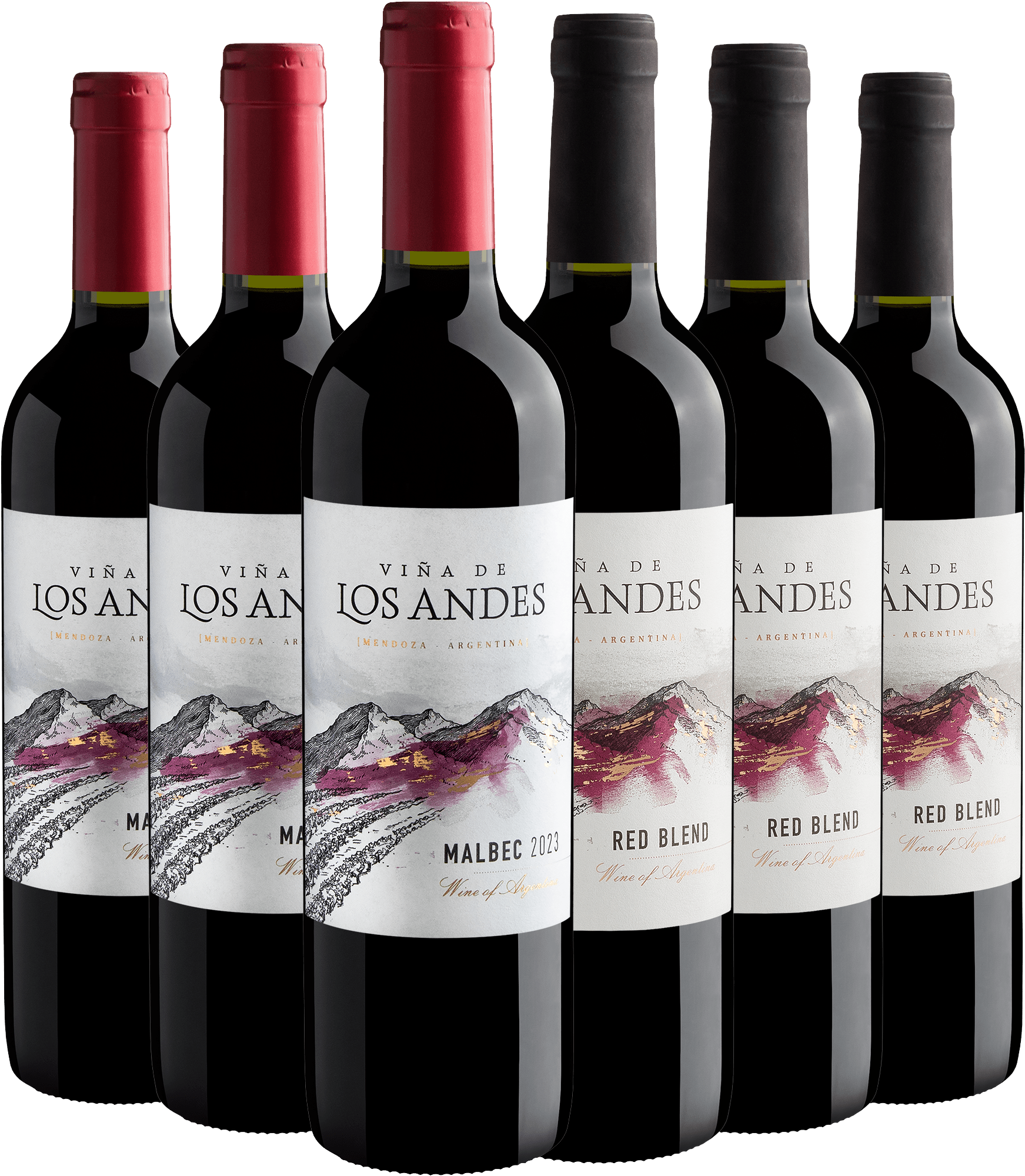 Kit Viña de Los Andes | 3 Malbec + 3 Red Blend por R$25,90 cada garrafa
