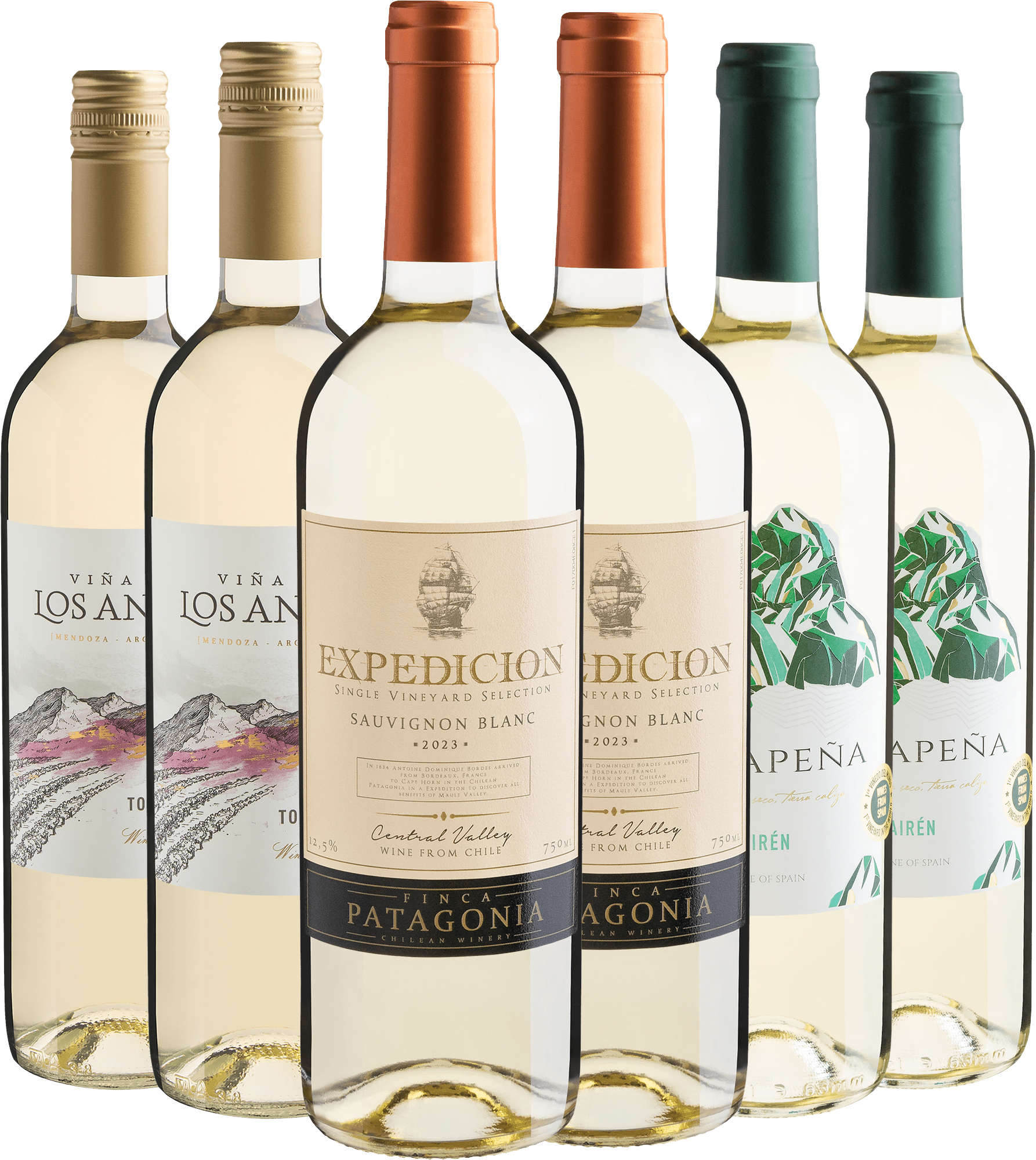 Kit Vinhos Brancos | 6 garrafas por R$26,90 cada 