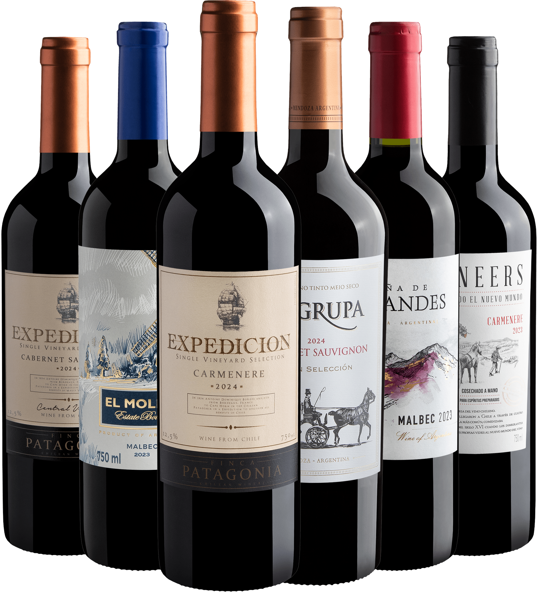 Kit 2 Malbecs + 2 Cabernets Sauvignons + 2 Carménères por R$26,90 cada garrafa