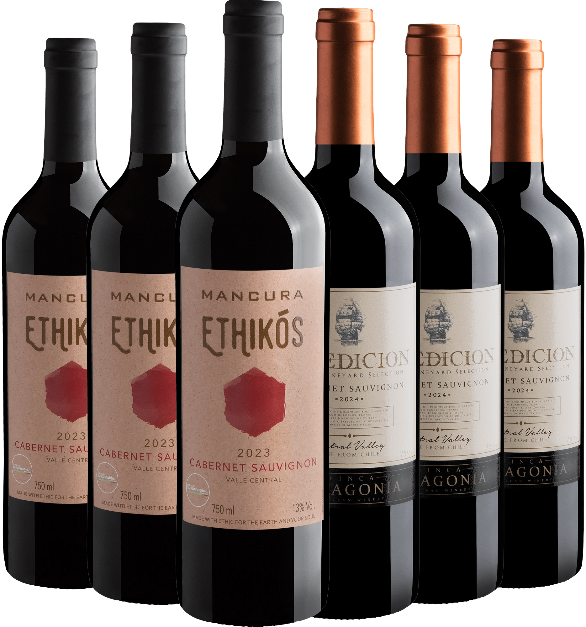 Kit Cabernet Sauvignon | 3 Expedicion + 3 Mancura Ethikós por R$27,90 cada garrafa