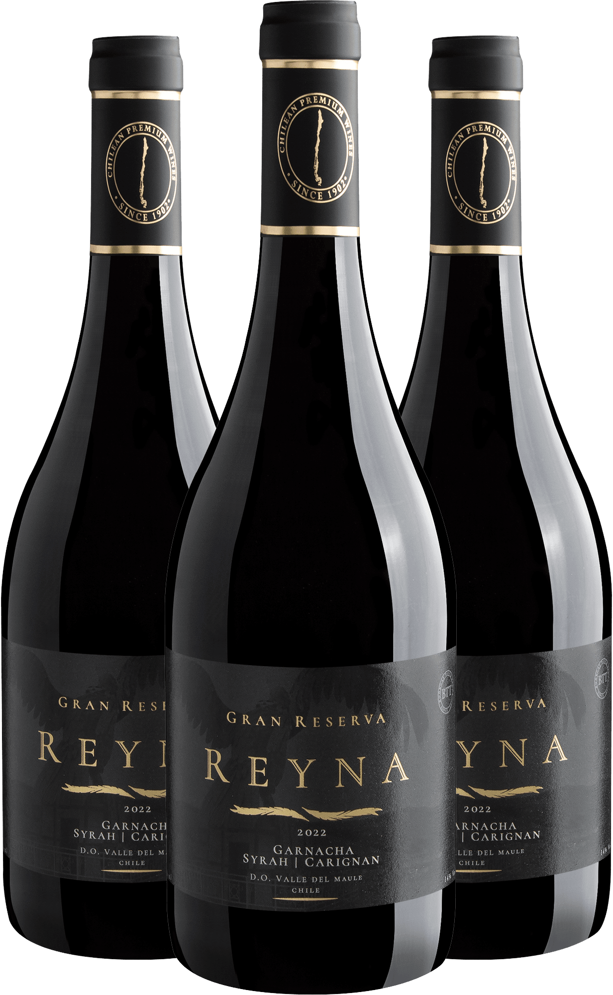 Kit 3 Reyna Gran Reserva Garnacha - Syrah - Carignan Valle del Maule D.O. por R$89,90 cada garrafa