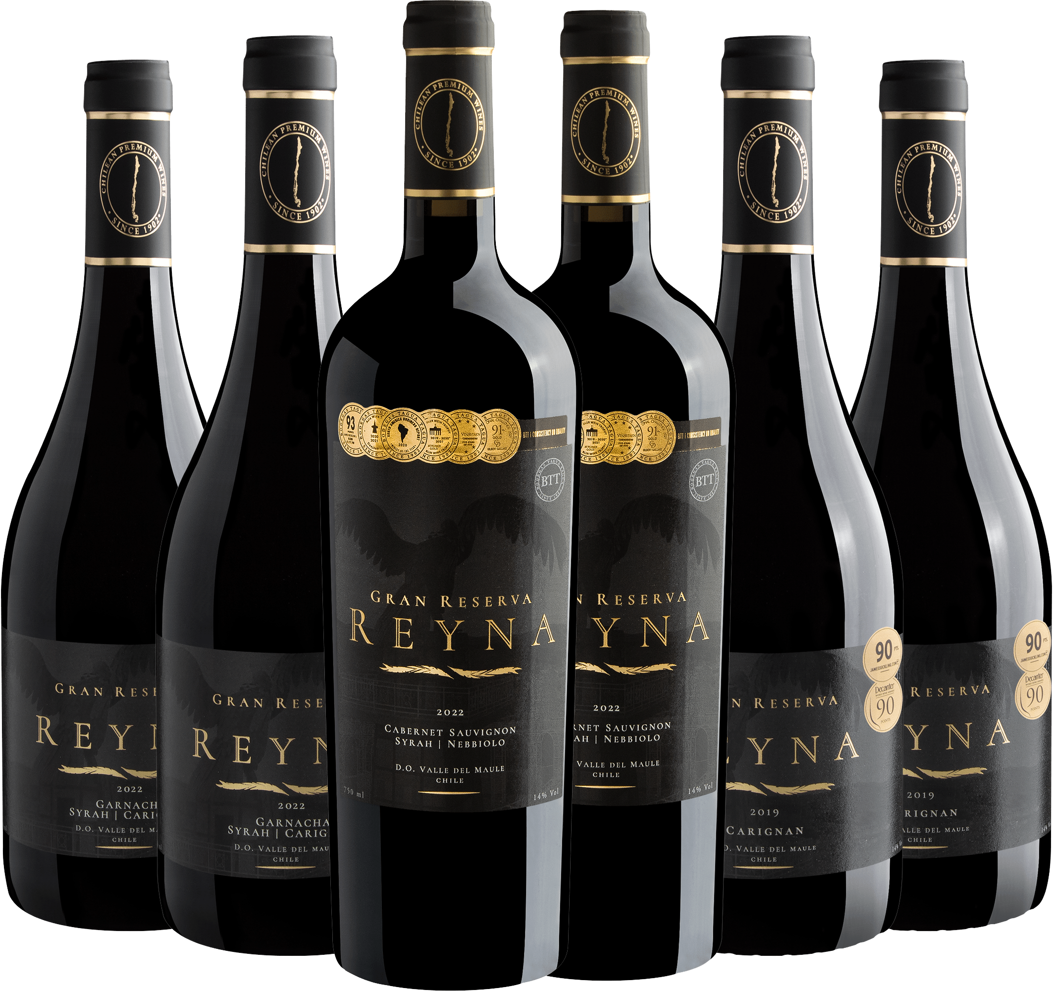 Kit Reyna Gran Reserva | 6 garrafas por R$69,90 cada 
