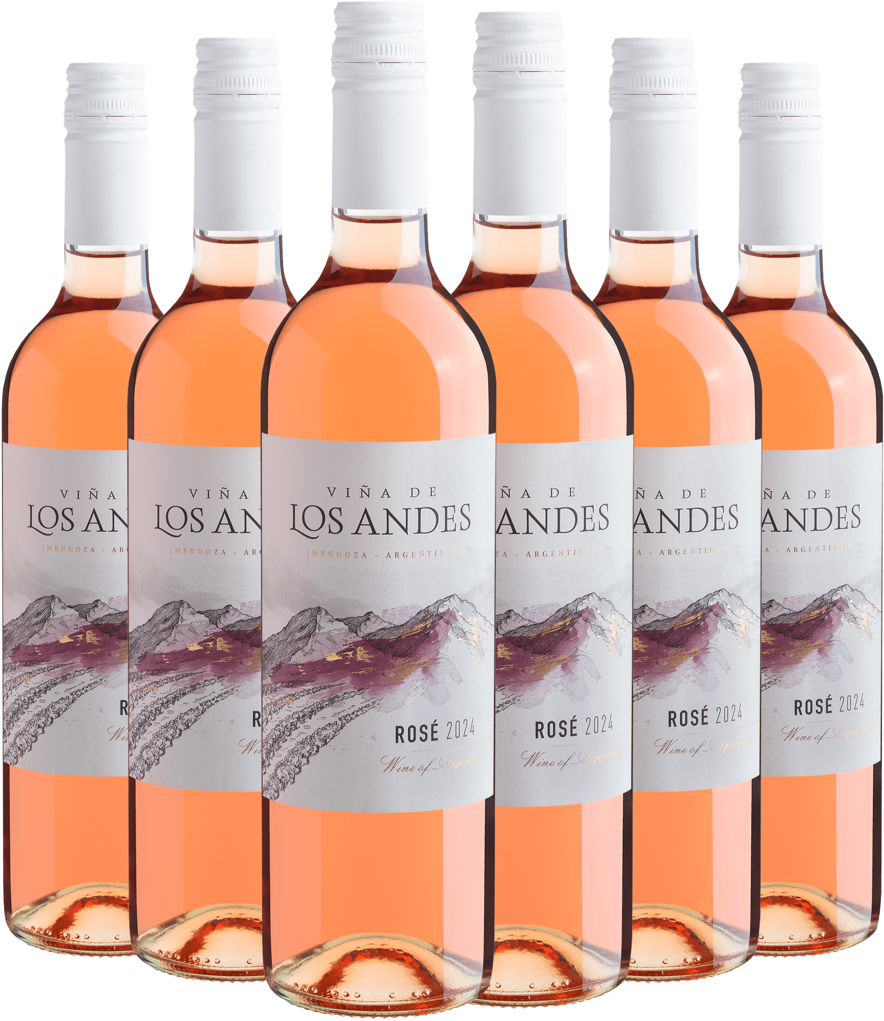 Kit 6 Viña de Los Andes Rosé por R$27,90 cada garrafa