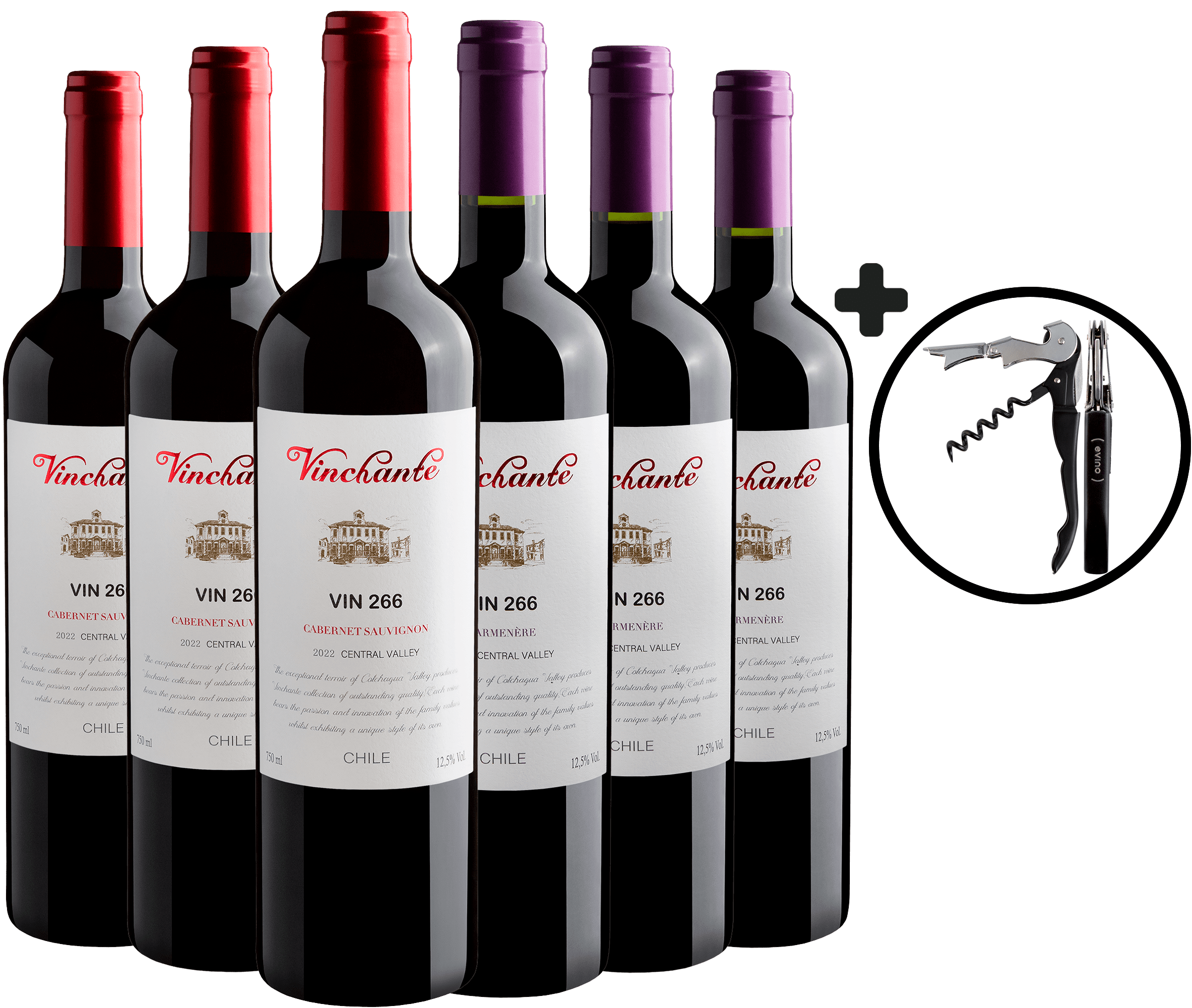Kit 6 Vinchante Vin 266 | 3 Cabernet Sauvignon + 3 Carménère por R$28,90 cada garrafa + Saca-Rolhas Grátis 